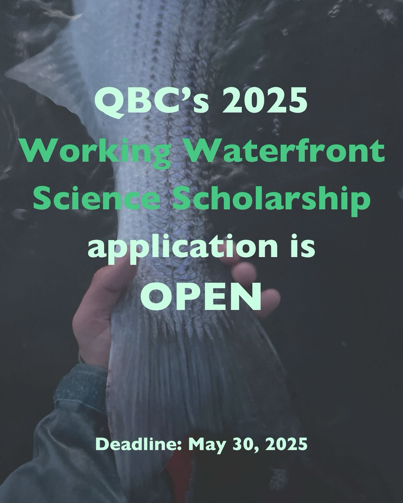 Quahog - QBC’s Working Waterfront Science Scholarship for Harpswell ...