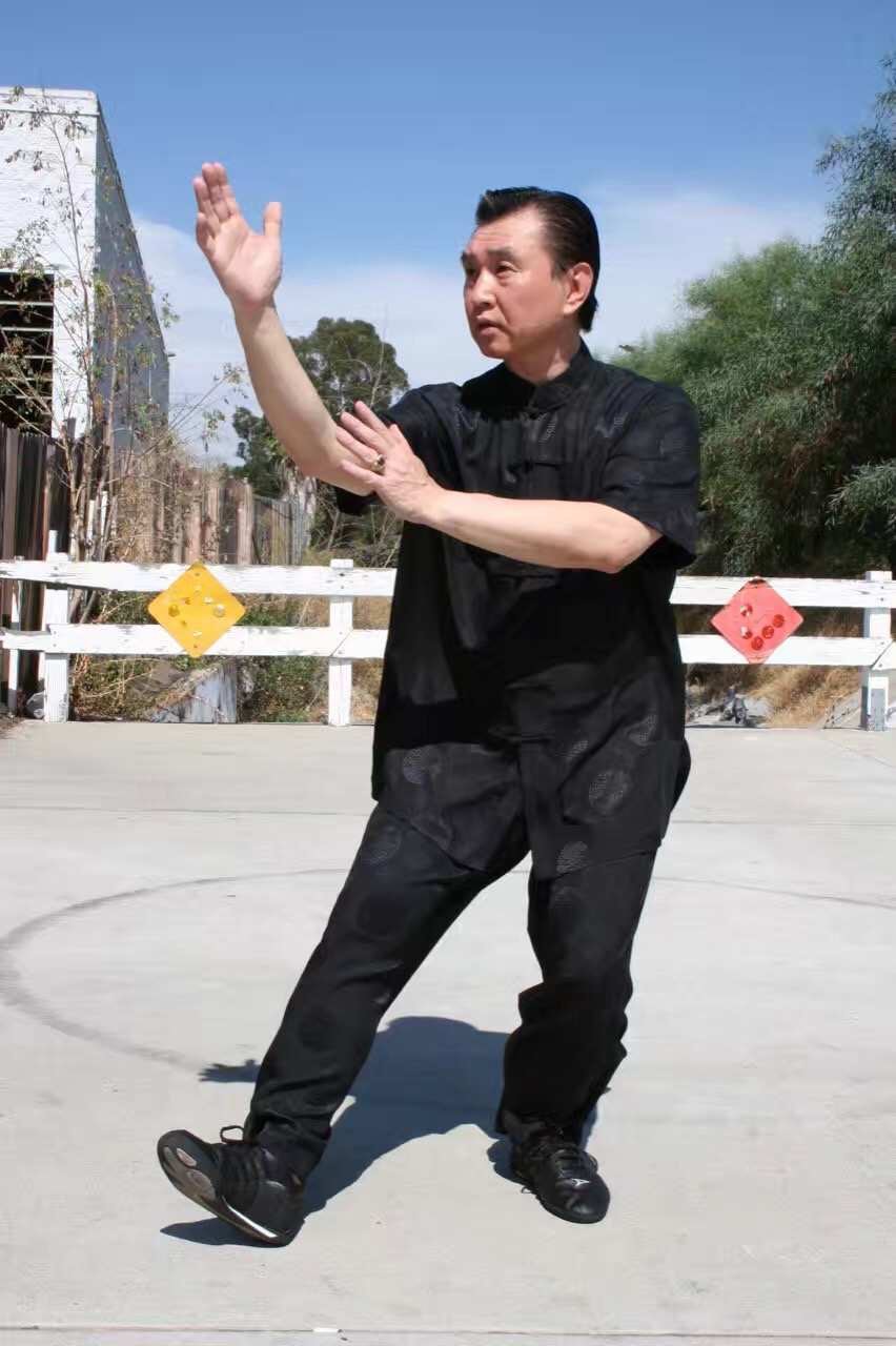 Doc-Fai - 【弘扬国术】 [Promoting Chinese Martial Arts] 今天的一招