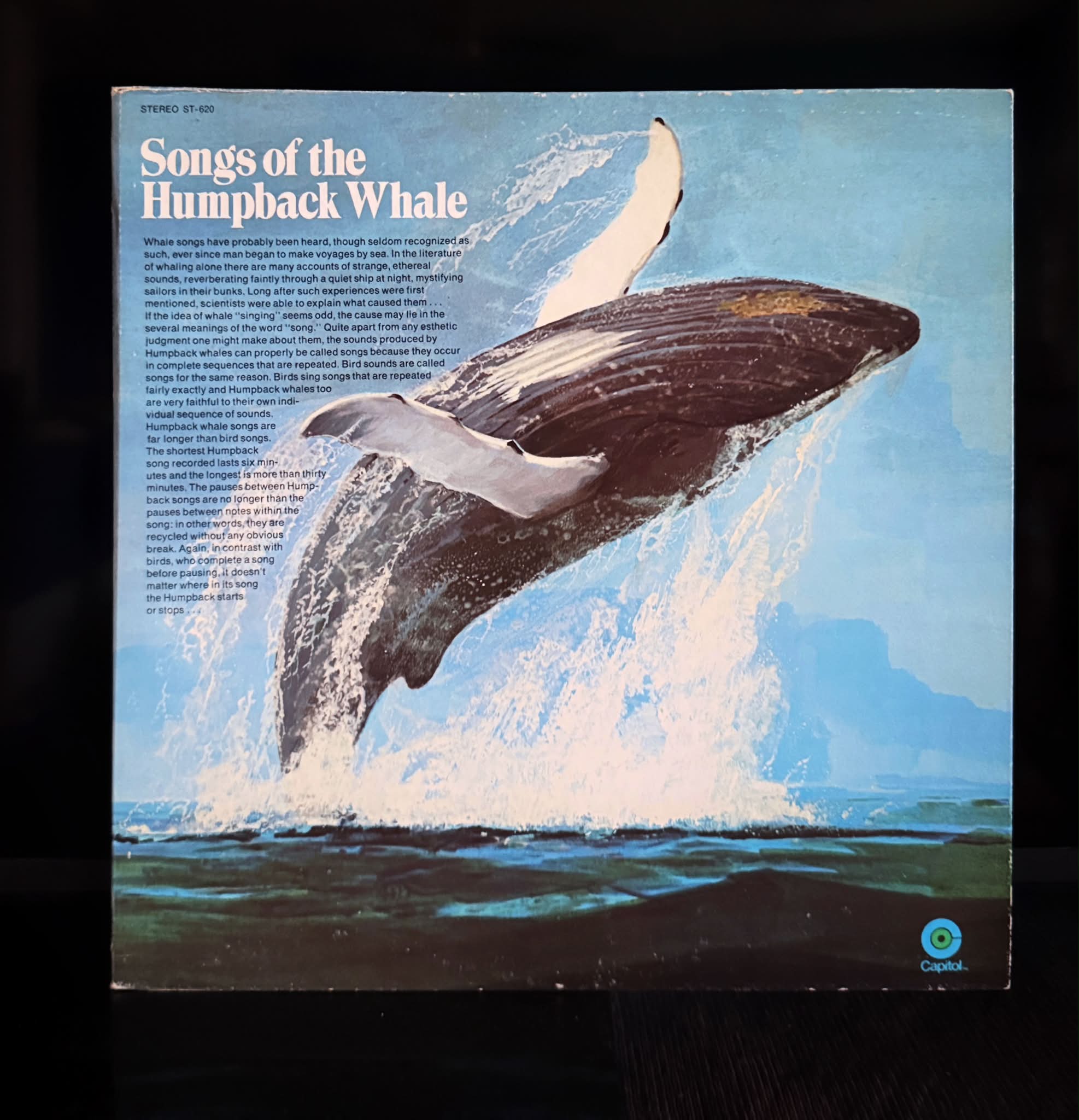 Humpback whales songs on vinyl record