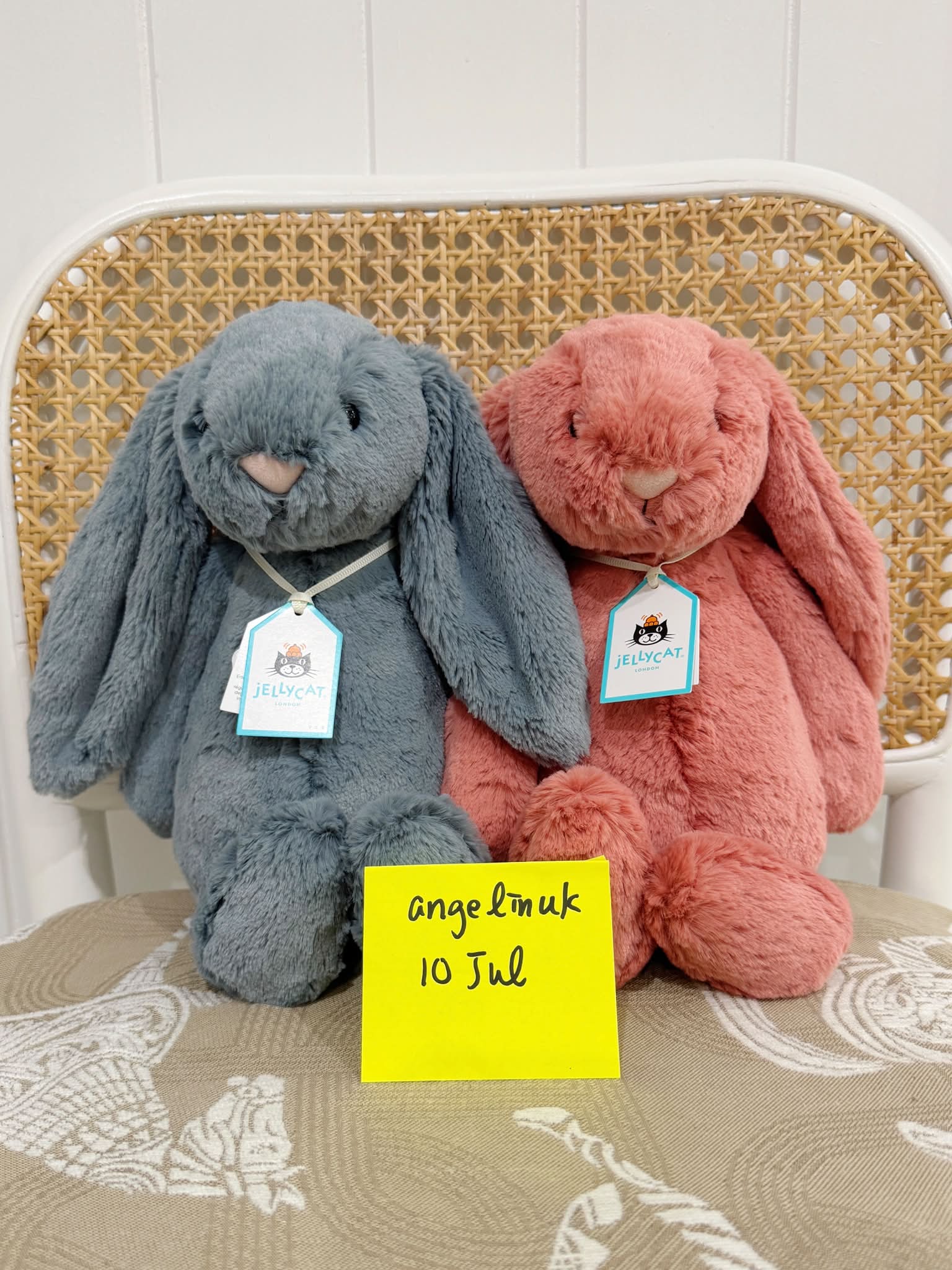 China's brand new first-release Jellycat — Bashful Bunny Junior
