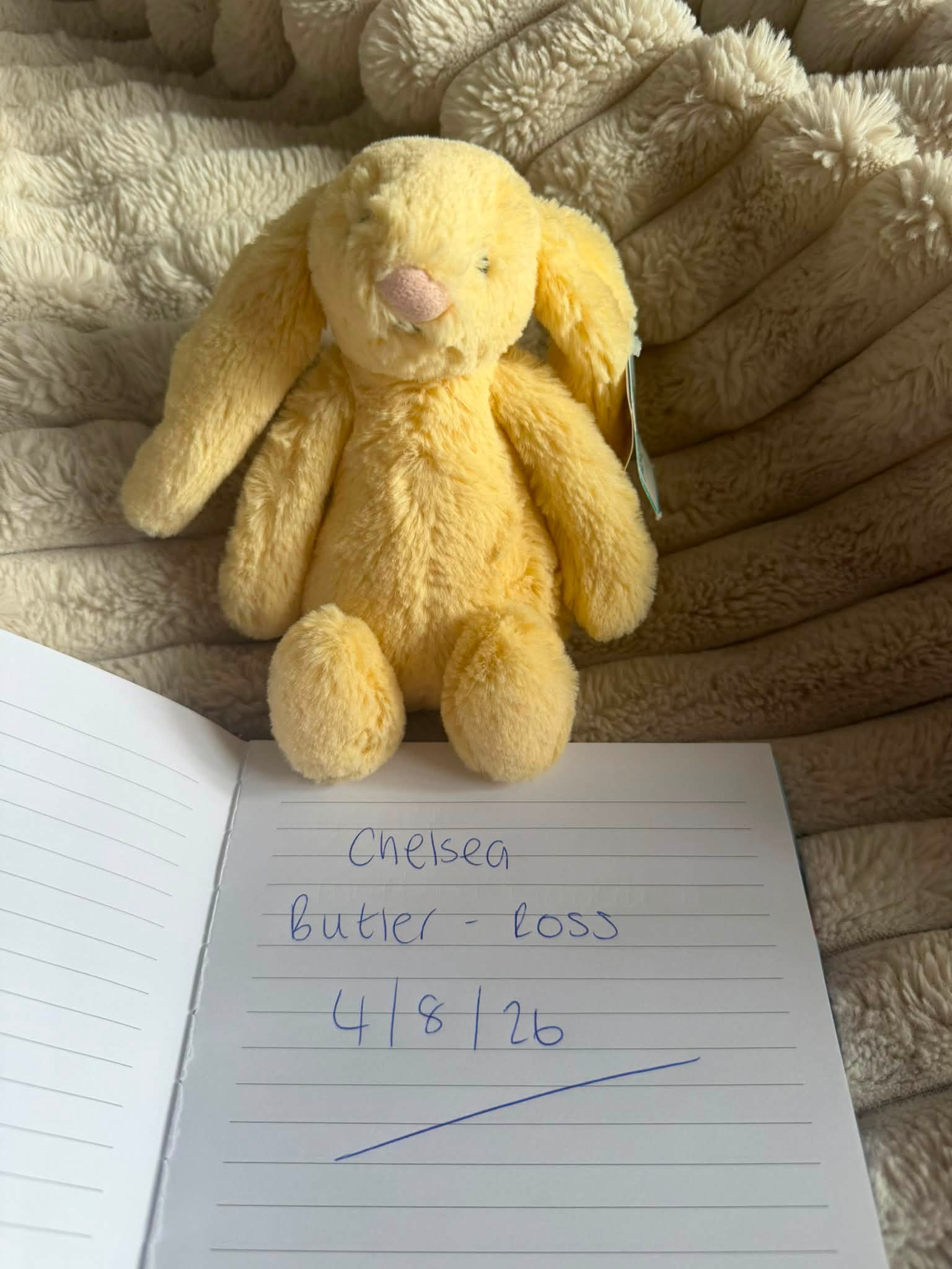 Jellycat Small Bashful Lemon Bunny price guide