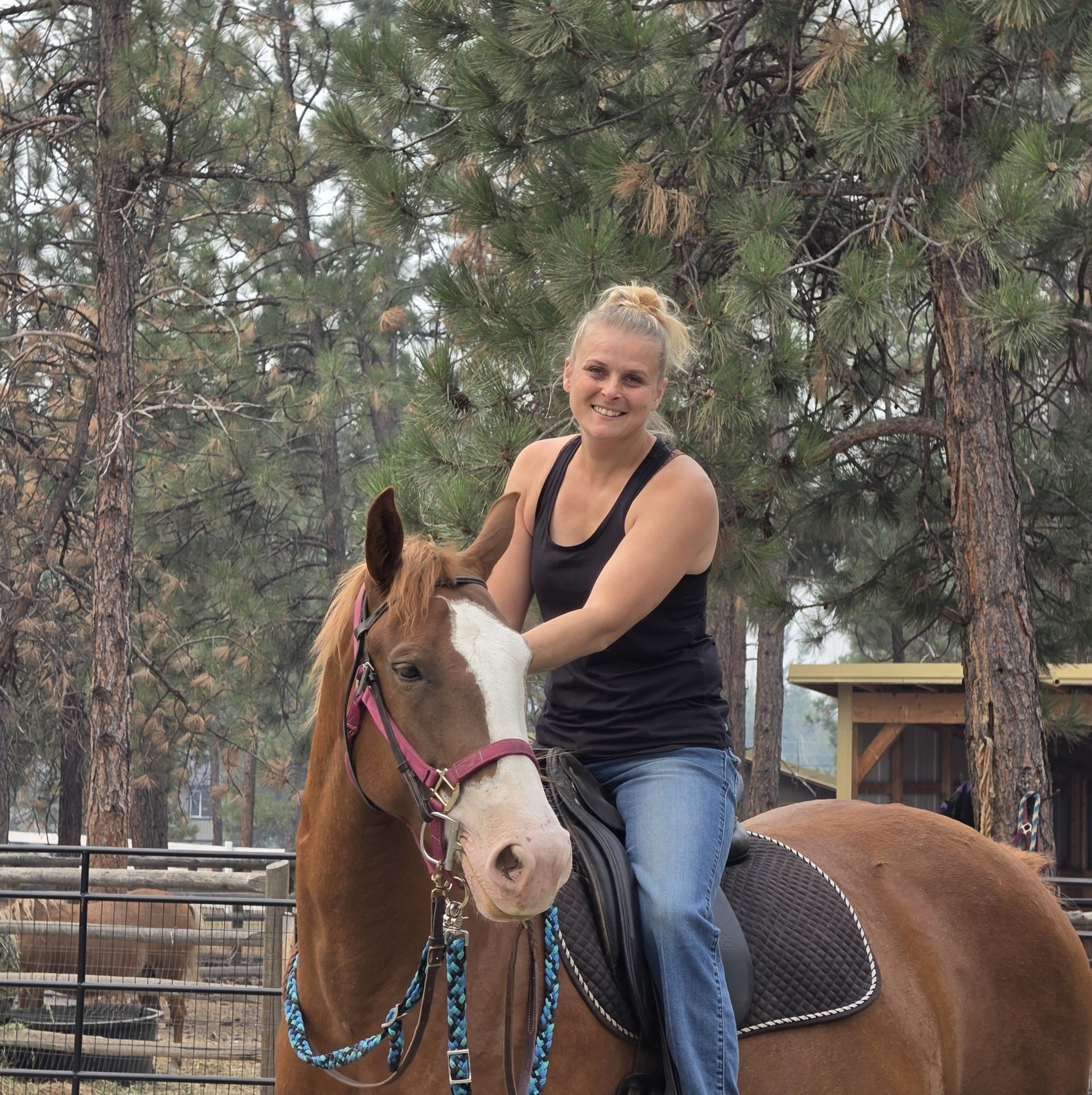 Sarah Hohner - ***Found a place for all the animals! Thank... | Facebook
