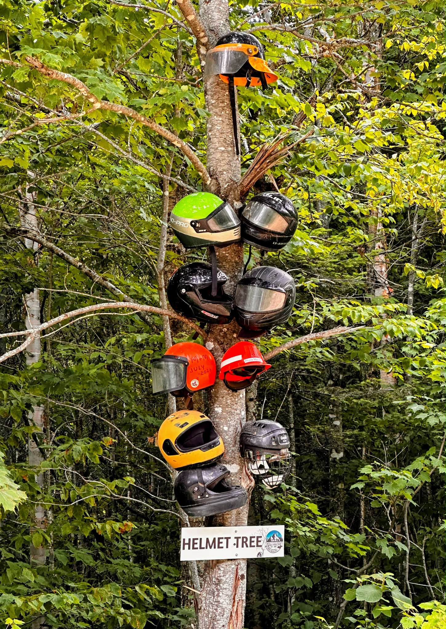 bike helmet tree Personalized Dirt Christmas Light Ornament, 2D Flat Shape Ornament, Custom Name, Gift for Motocross Dirt Bike Lovers, Christmas, Birthday : Home & Kitchen Practical and Functional Custom Dirt Bike Helmet with