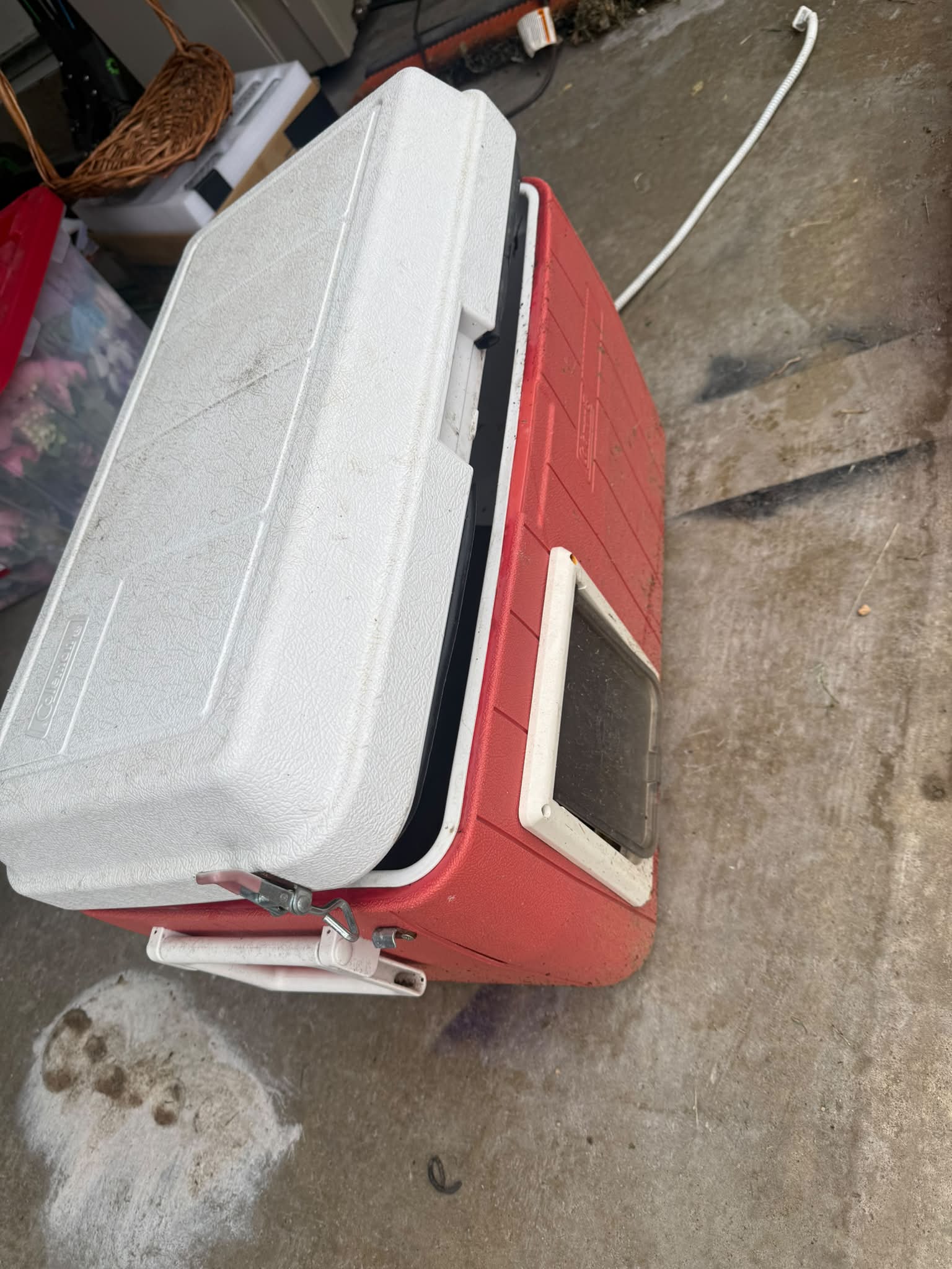 Free red and white heated cat cooler for cleaning in Lower North