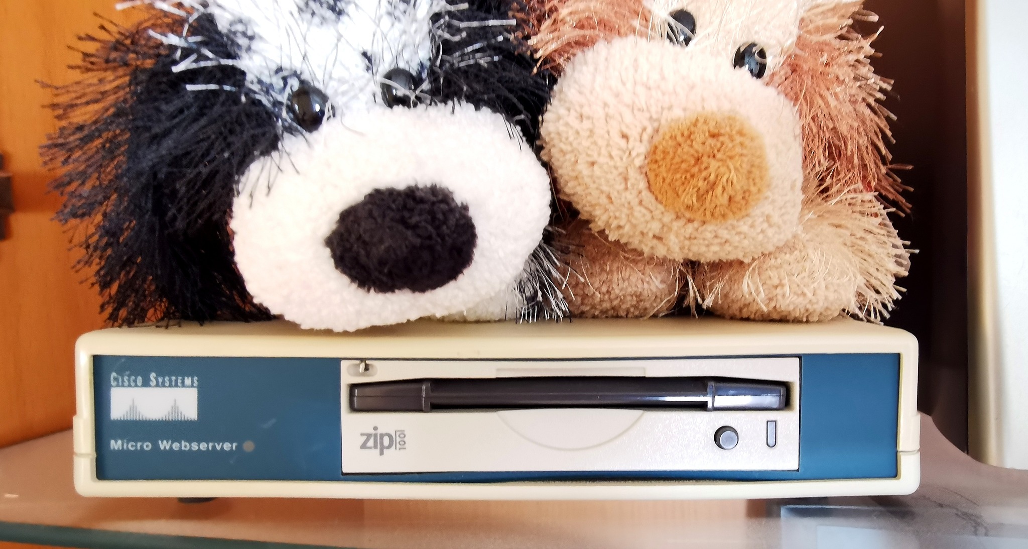 Cisco Micro Webserver: A 100mb Zip Disc Webserver from the 90s