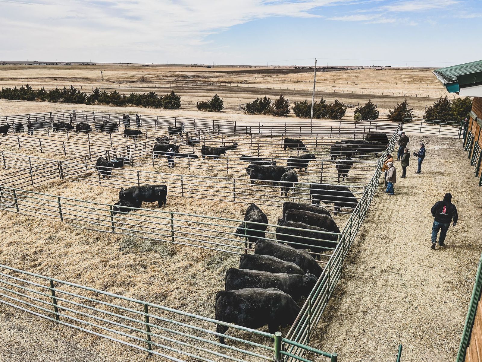 Lazy H Ranch - Hays KS