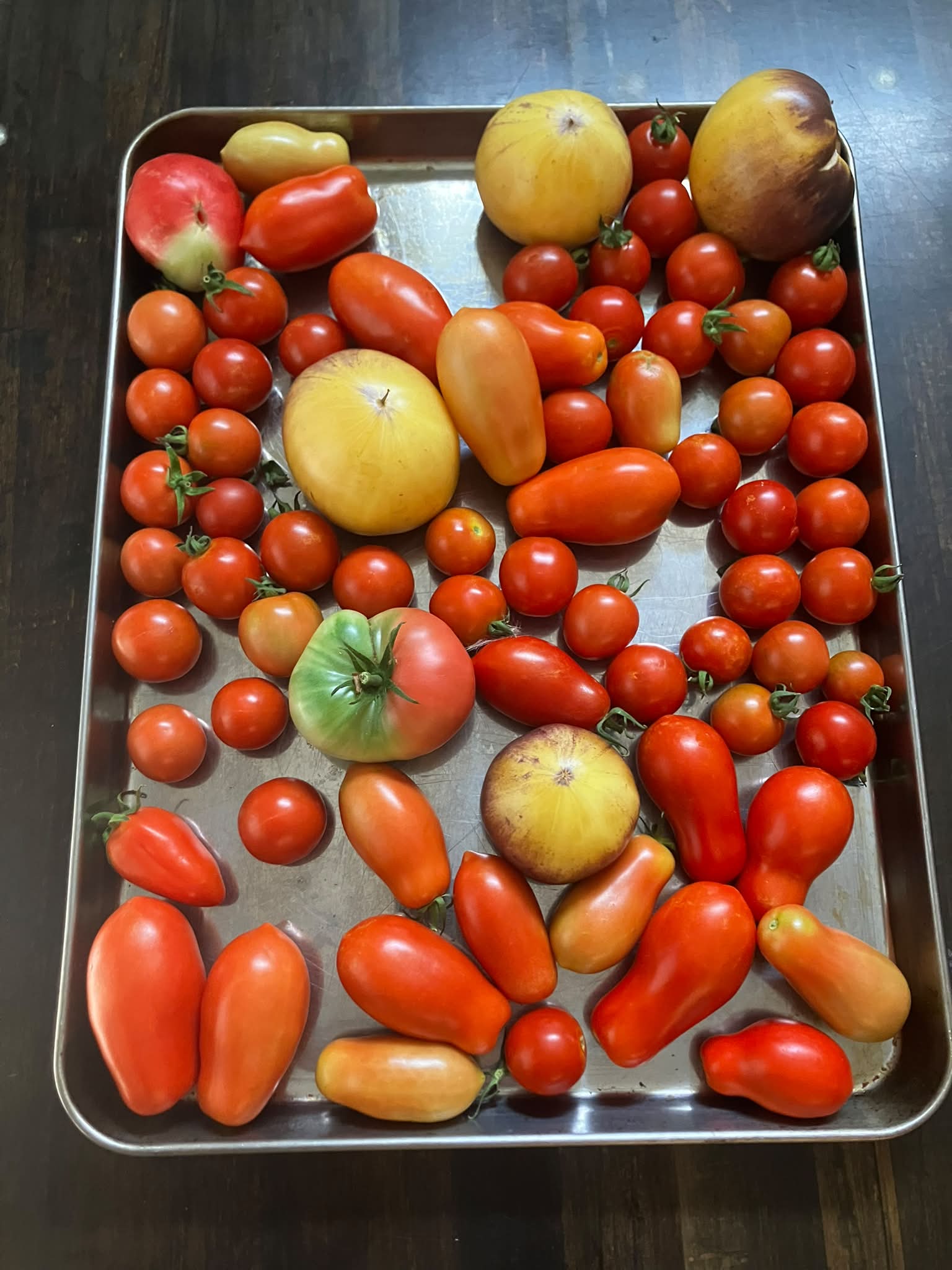 You pick cherry and Roma tomatoes in downtown Loveland?