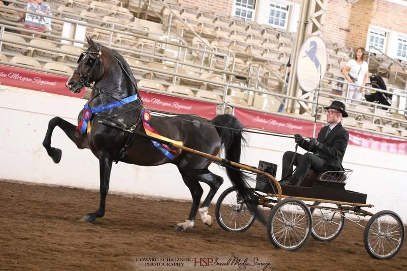 We couldn't more excited and proud of NS Fame & Fortune for his