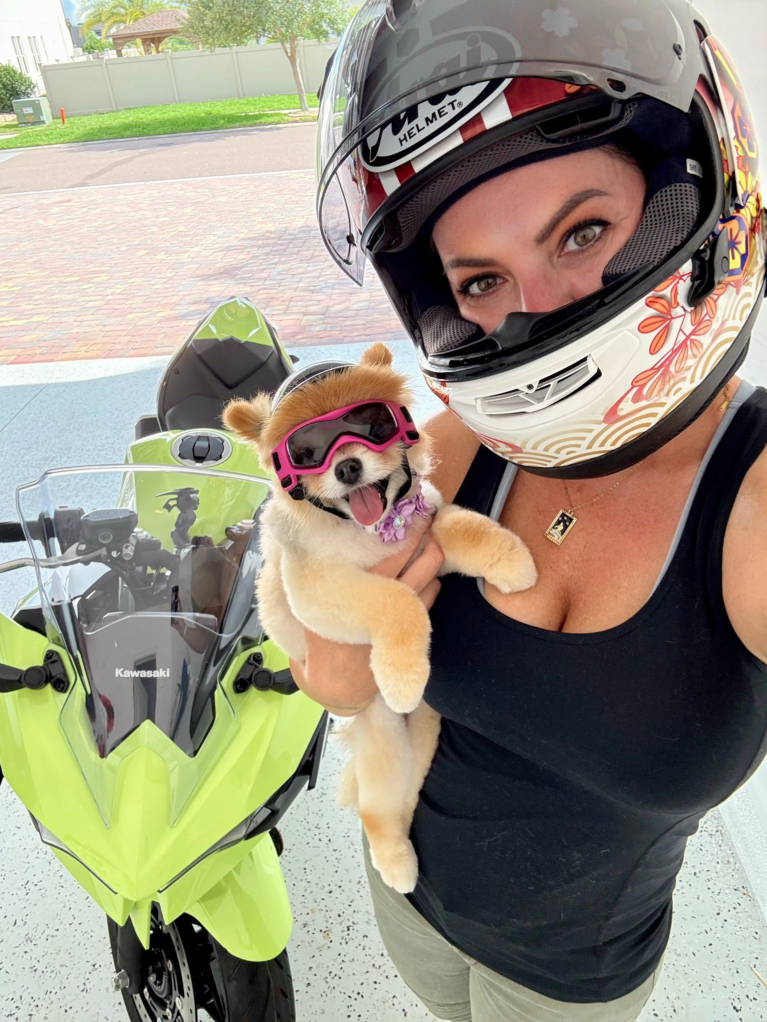 Florida rider completes MSF course and seeks pet riding setups