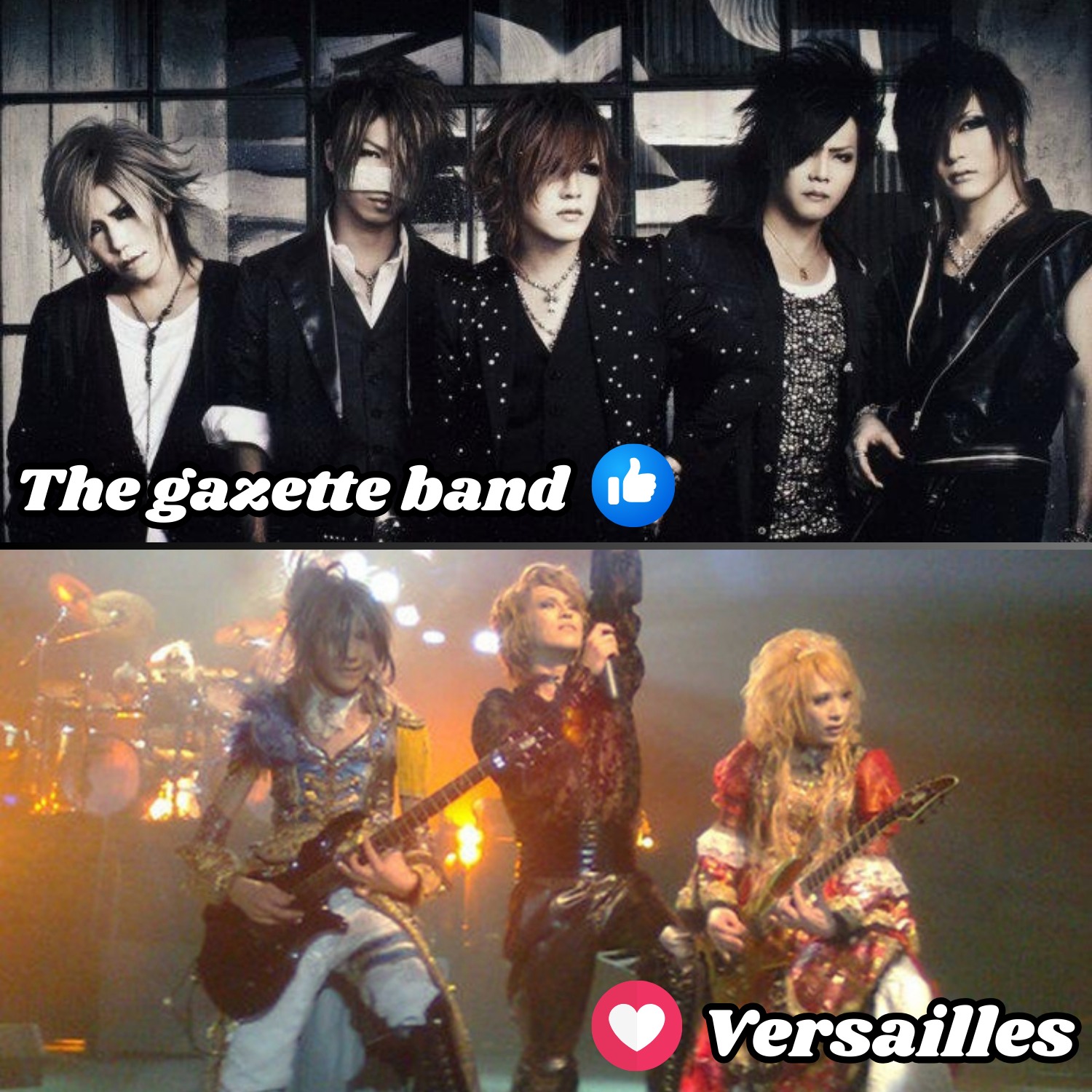 the GazettE 写真 泥だらけの青春 REITA RUKI the GazettE 15th