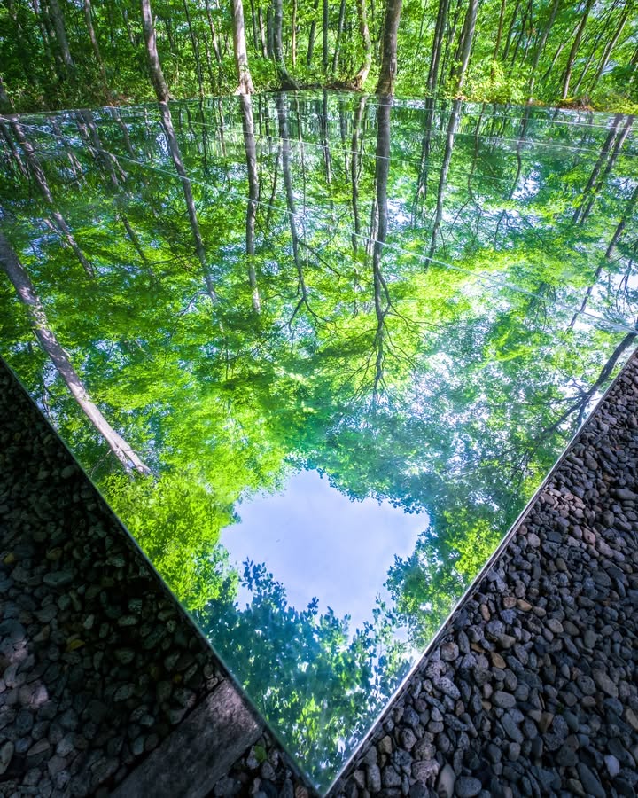 世界にひとつだけの空気を御神体とする神社。鏡面のステンレス板がブナ