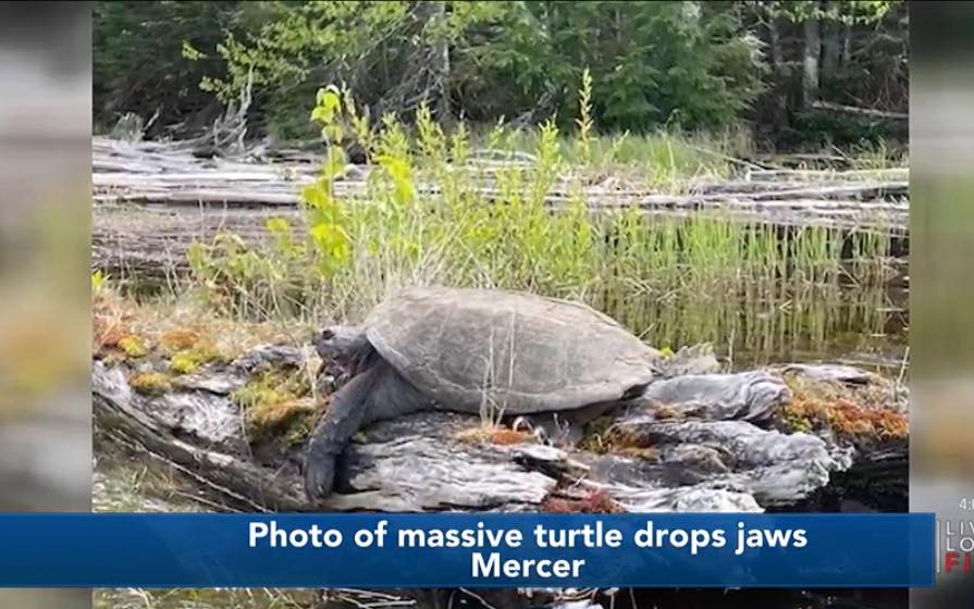 ‘Is that real?’ Here’s the details... - WSAW NewsChannel 7 | Facebook