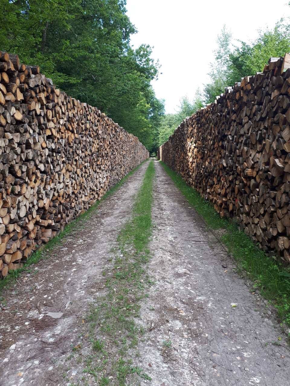Bois De Chauffage Saint Martin De Crau