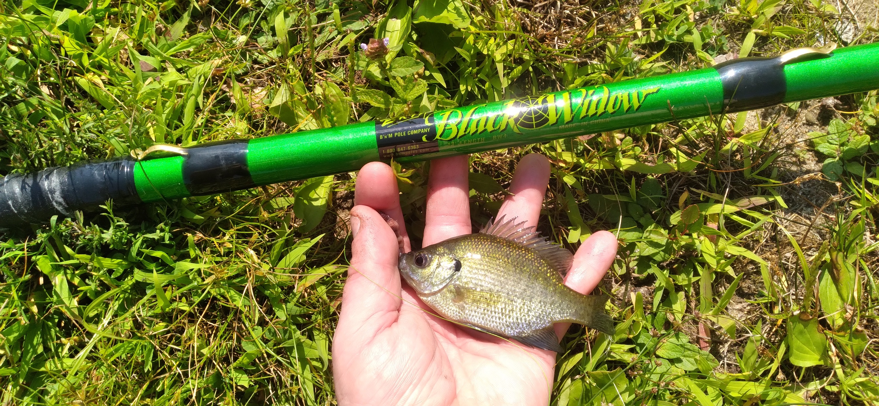 ari hart fly reel for sale 't Triangle II titanium color - mint rocking Color:HAMMERRED NICKEL BLUE Which Fly Rod Weight
