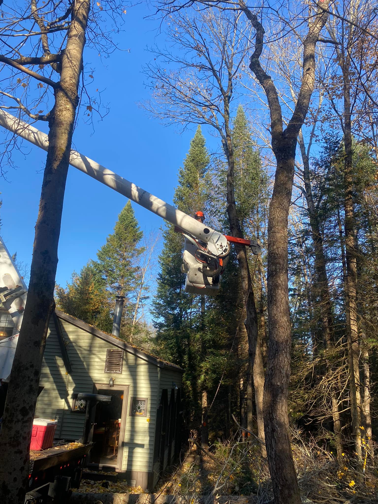To The Top Tree Care LLC | Remsen NY