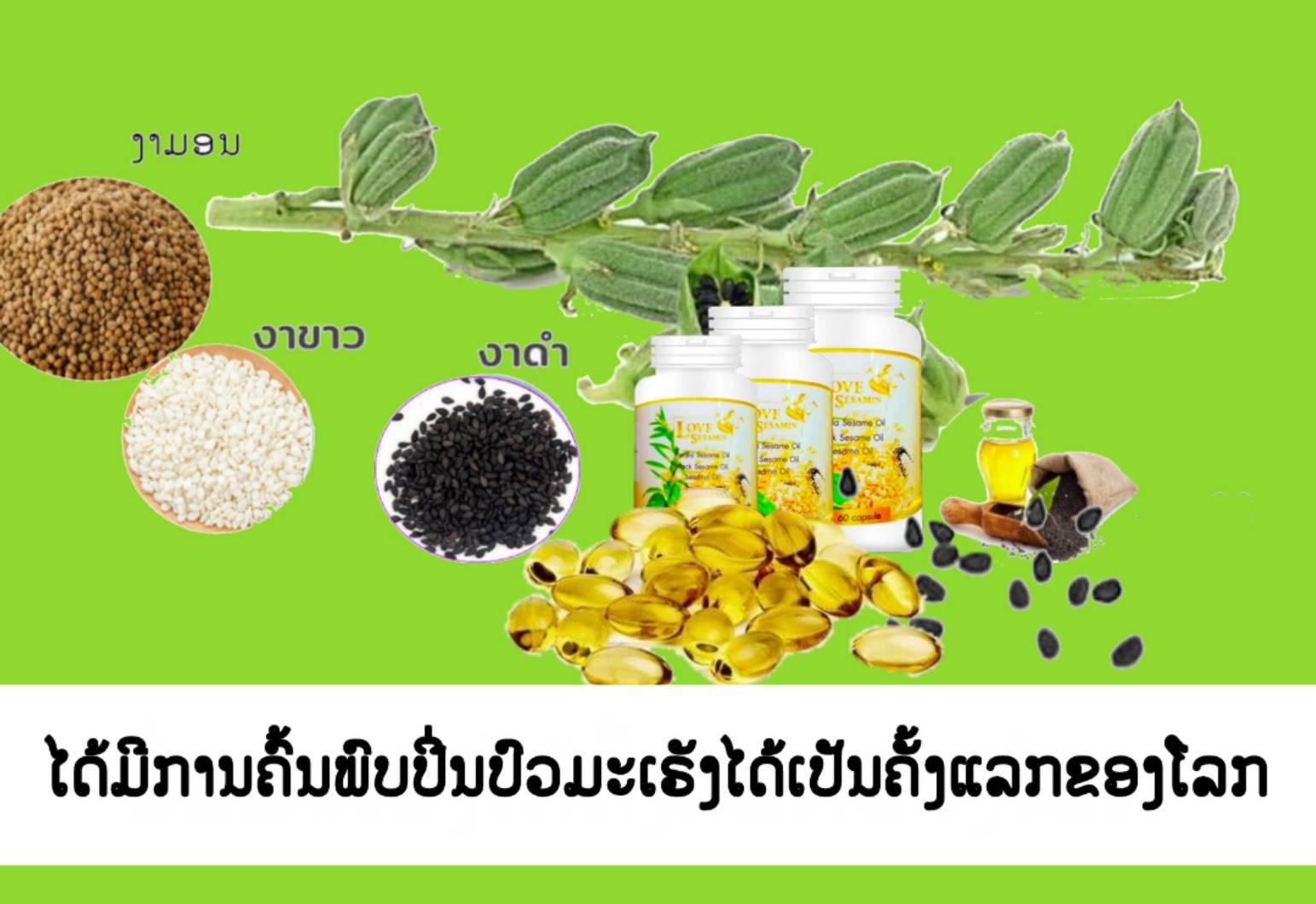 PYONE... - PYONE PYAW - ပြုံးပျော် Health & Products Service