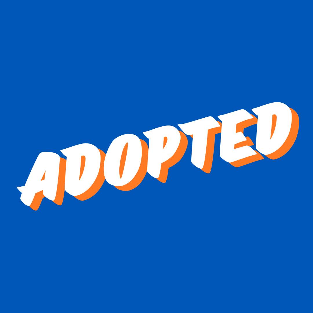 Help save a sweet dog on Staten Island