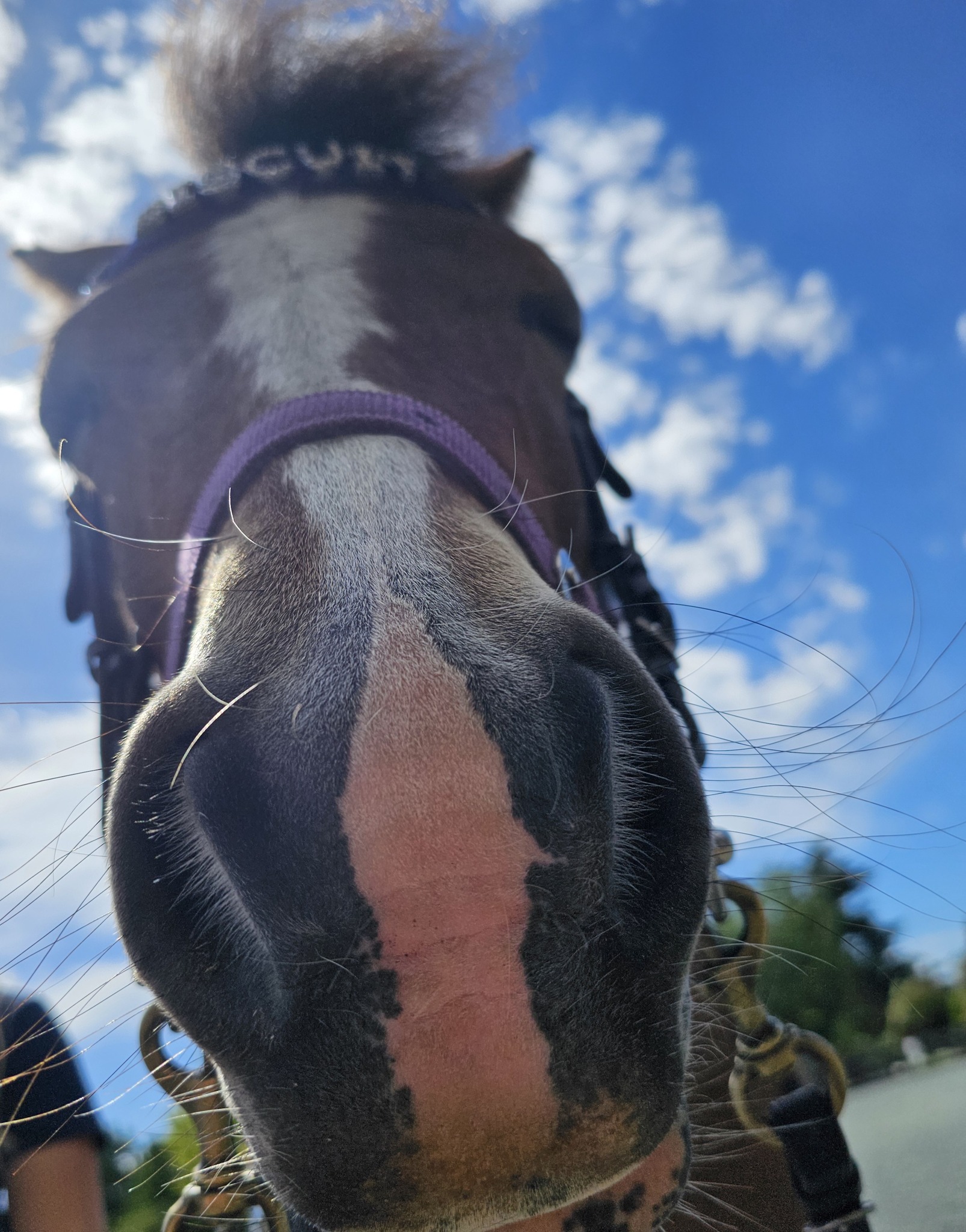 Motueka - Welcome back, riders! As the new term begins tomorrow, we're ...