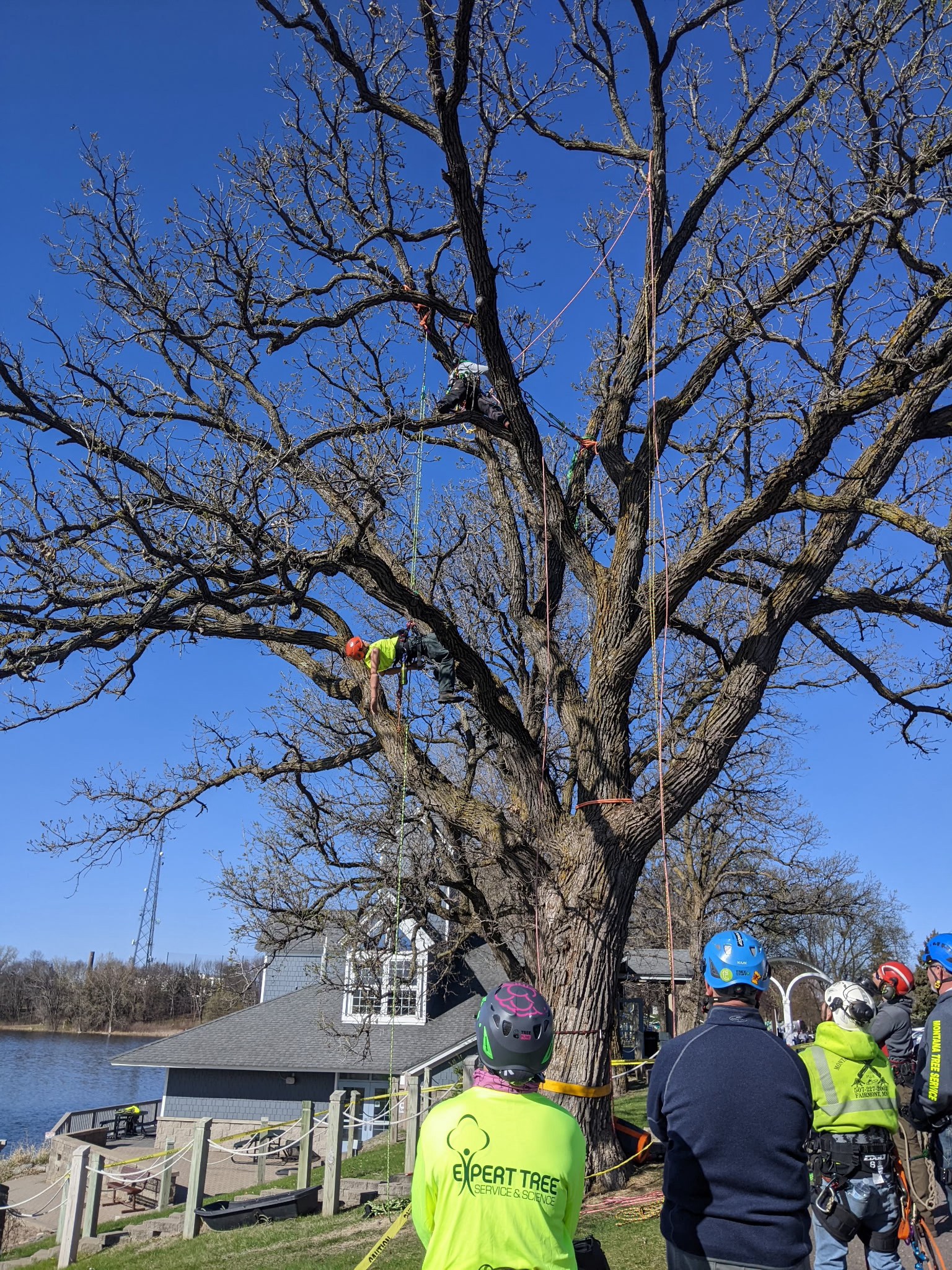 Johnson Ops Tree Care