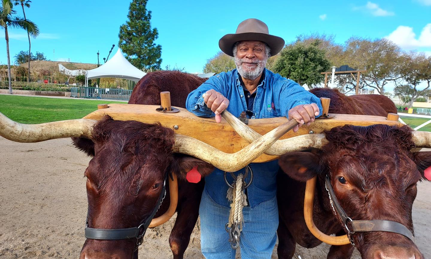 Rural Heritage Magazine added a... - Rural Heritage Magazine