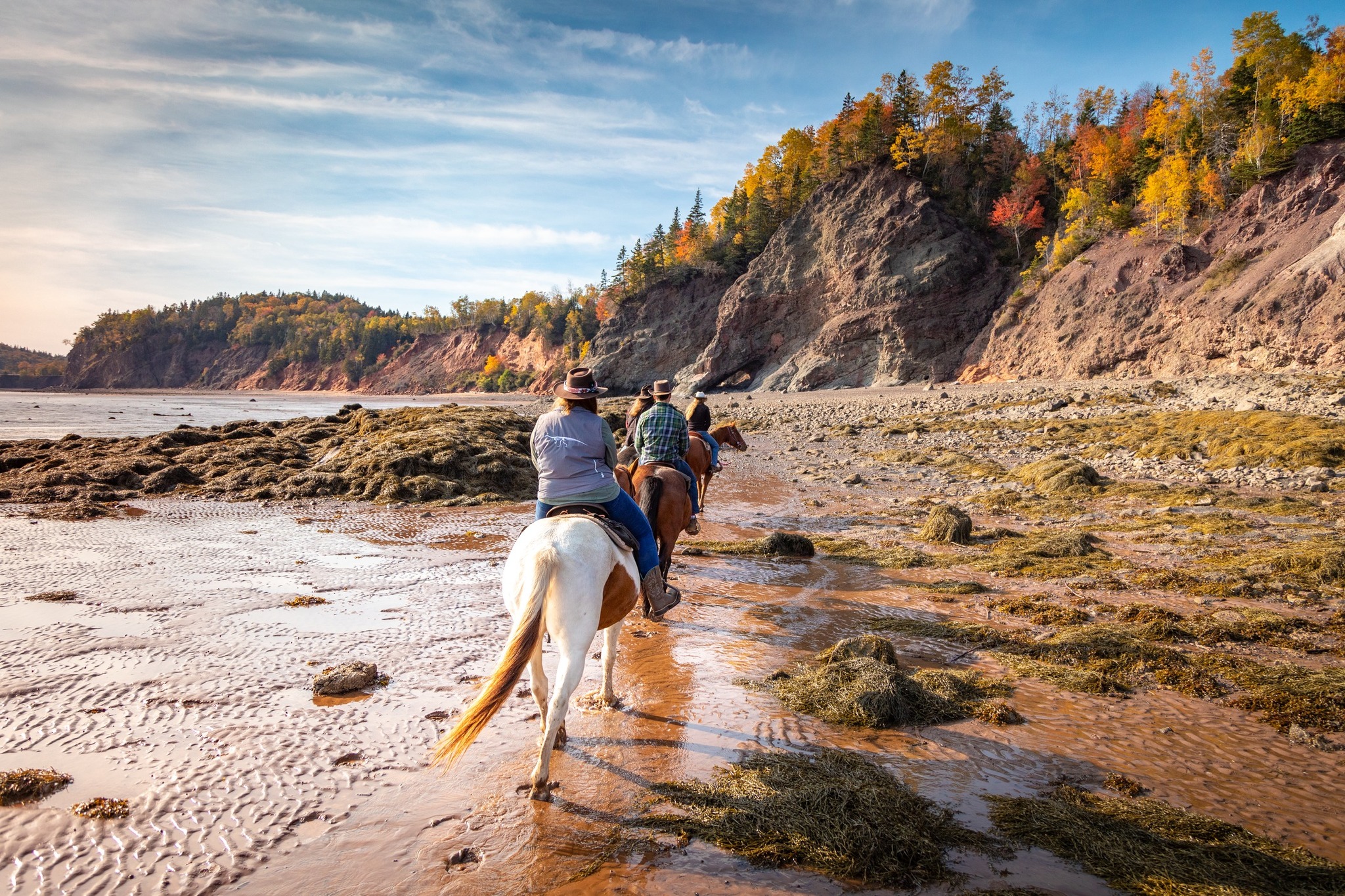 Spirit Reins Ranch | Parrsboro NS