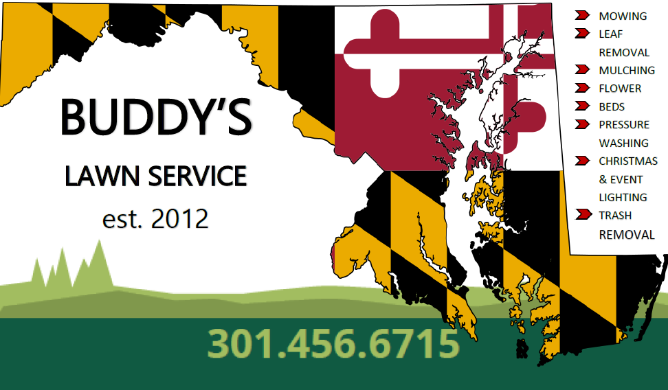 Buddys Lawn Service