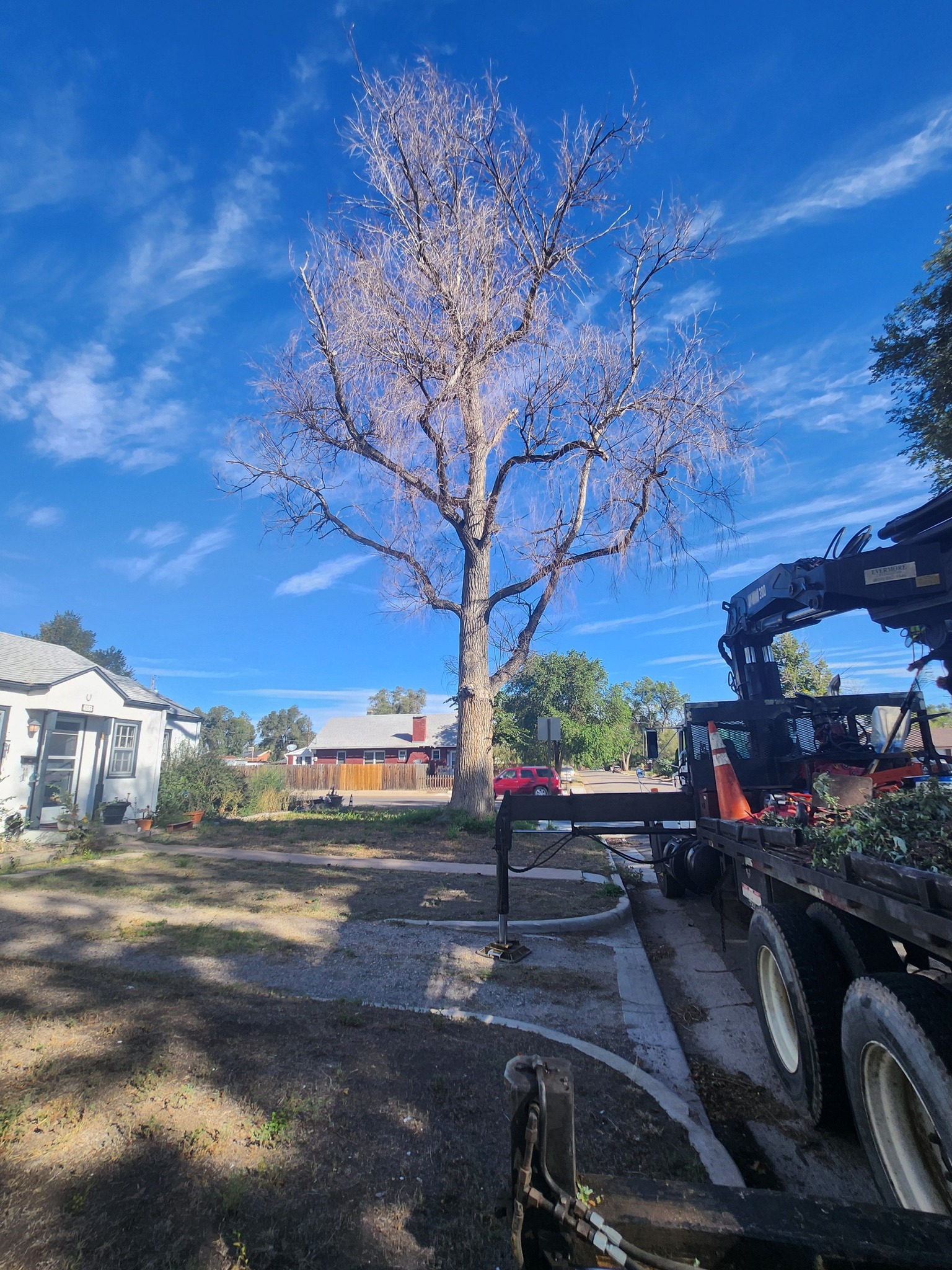 Apex Tree and Crane | Pueblo CO