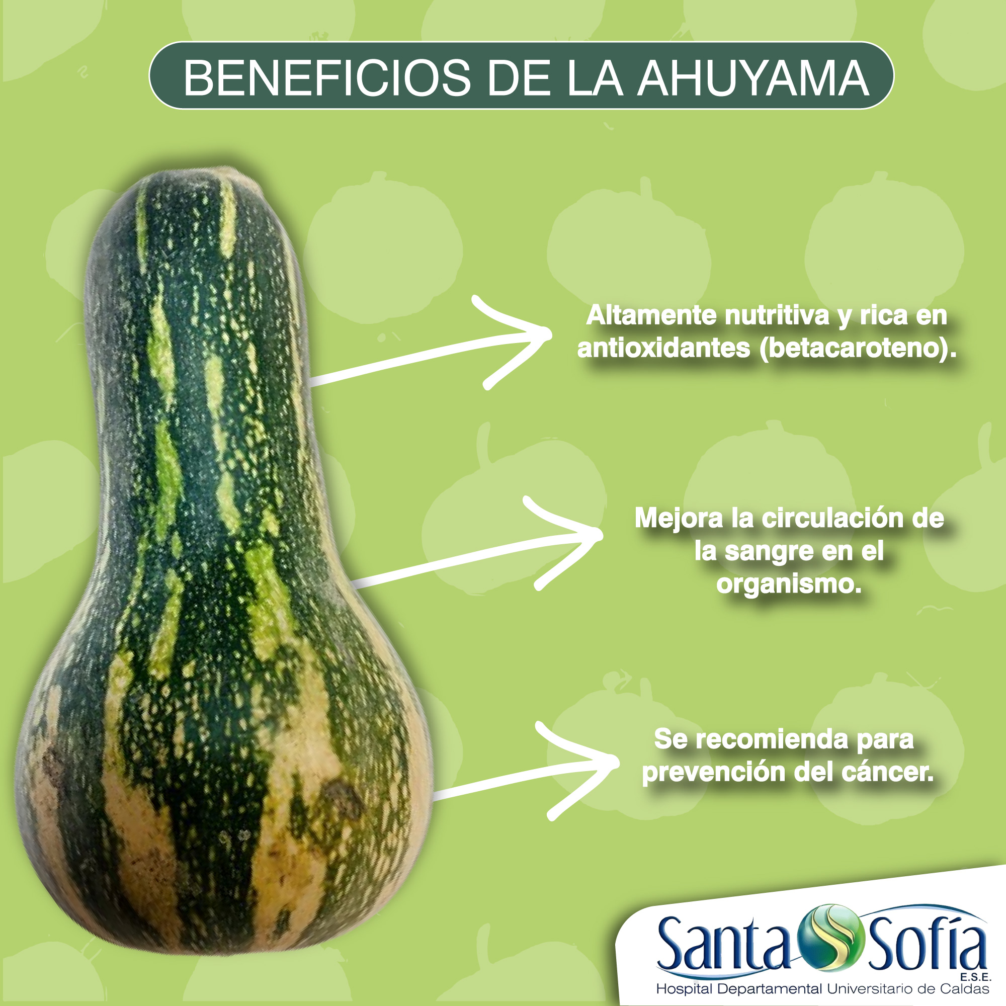 Hospital - La ahuyama, es un alimento nutritivo que ofrece múltiples ...