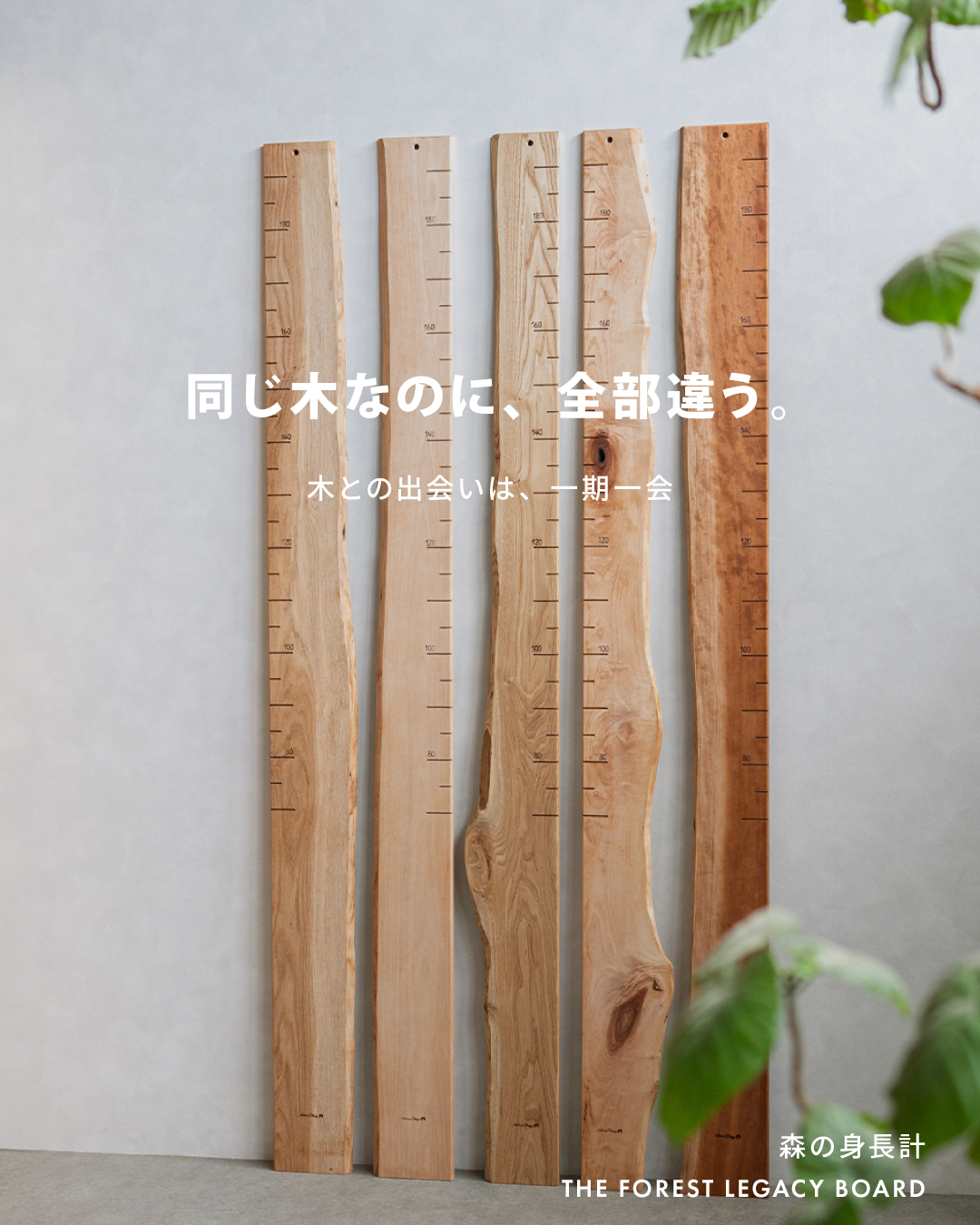 Tadaima - 身長計が再入荷しました。 岡崎製材オリジナル身長計は