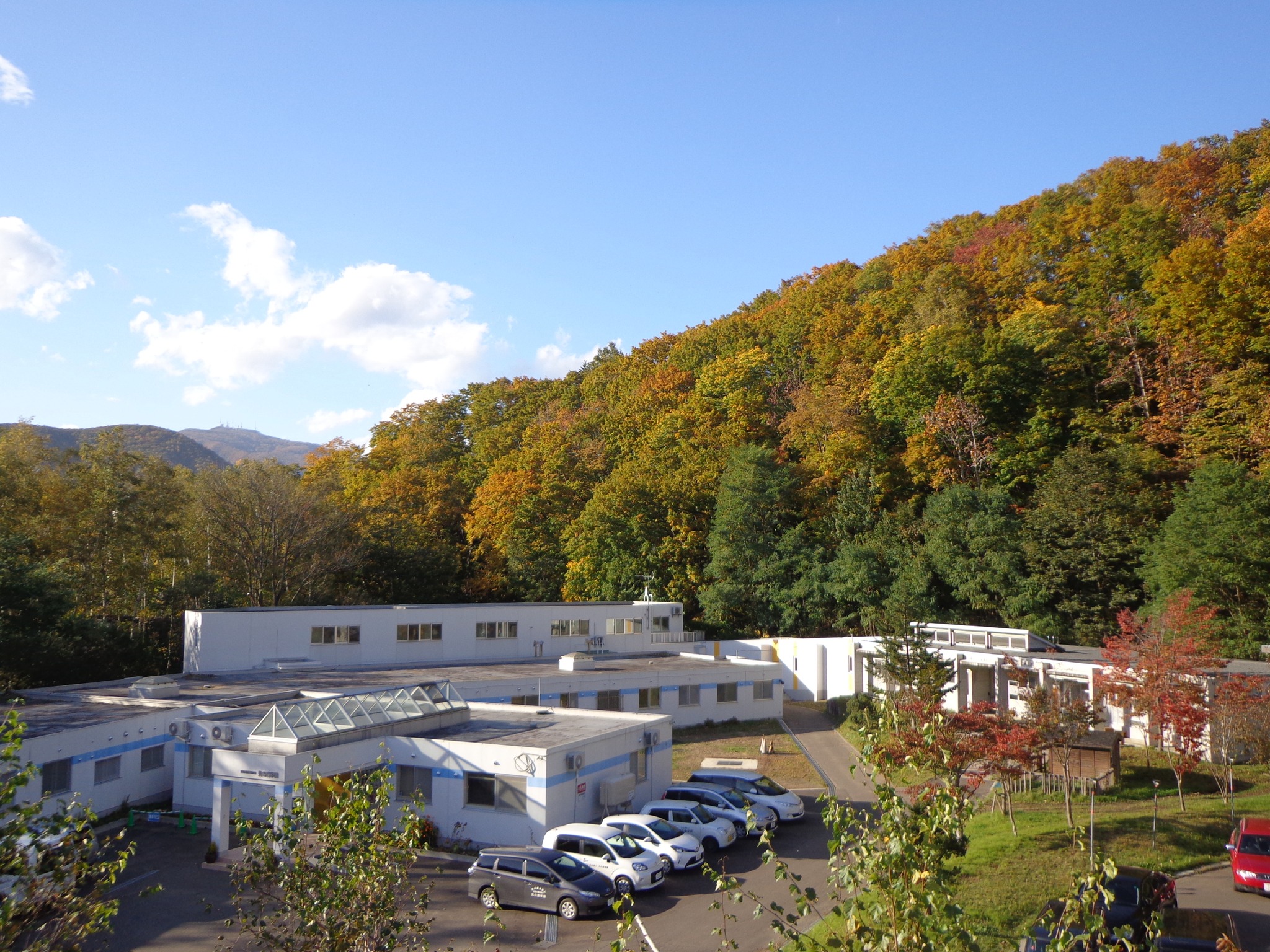 光 の 森 学園