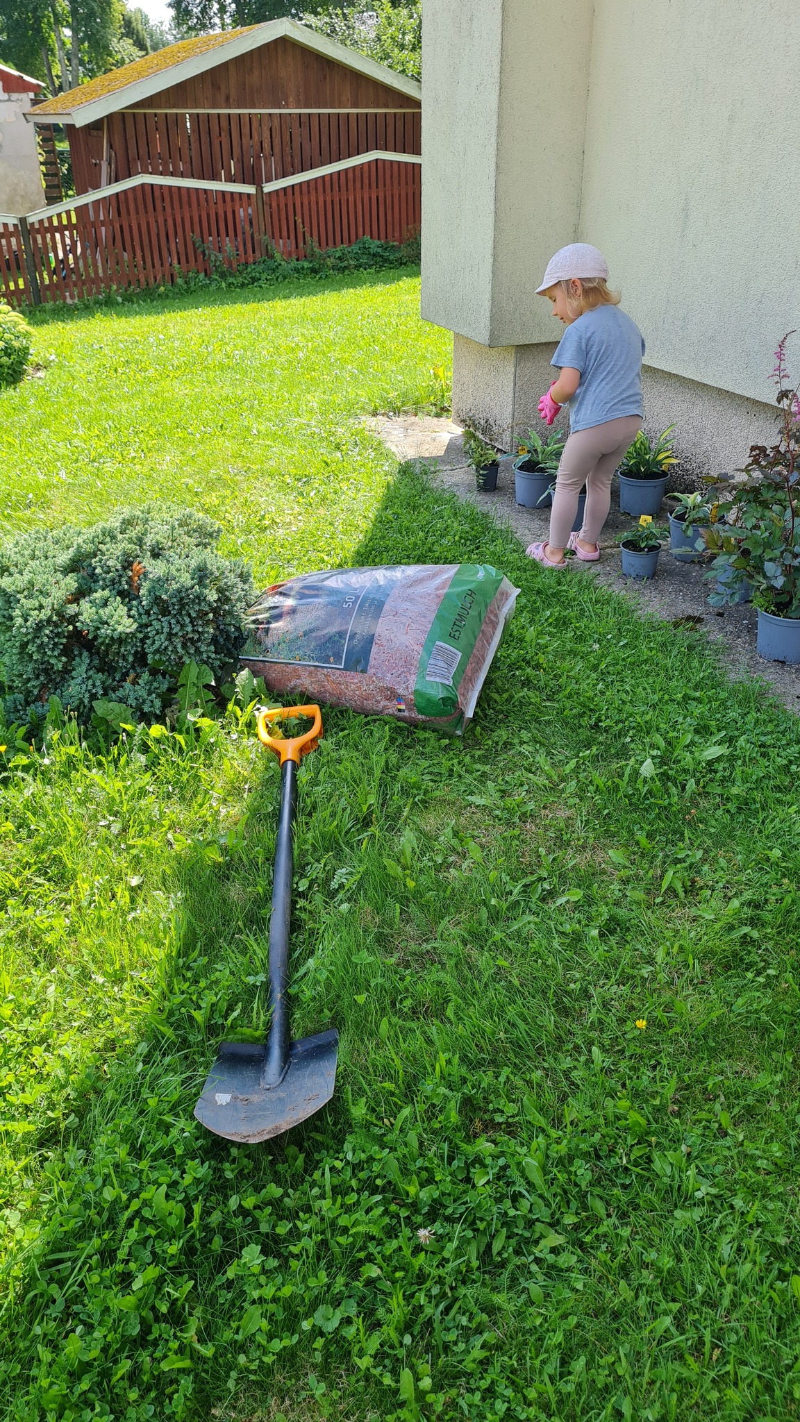 Estmulch - Värviline multš sobib kõikjale! Kaunistab aeda ja ...
