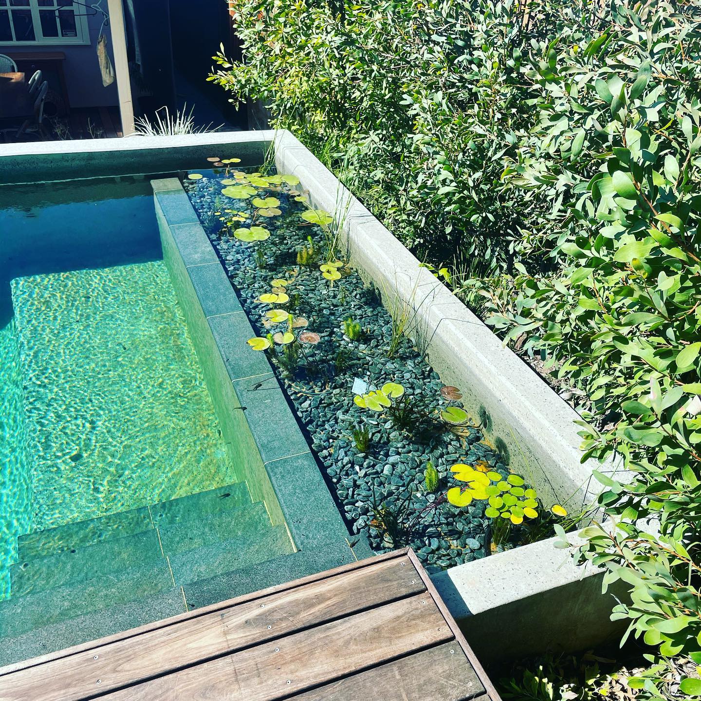 Landscape West- Natural Pools | Perth WA