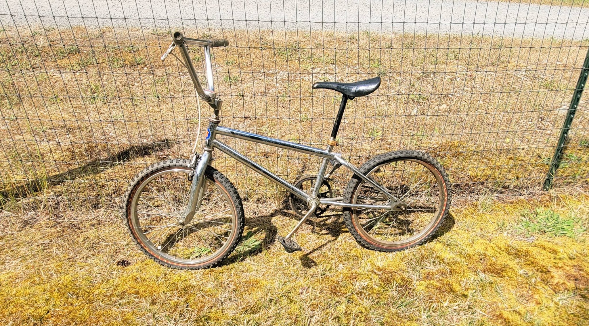 What is my old school loop tail BMX with serial number DS1A7831?