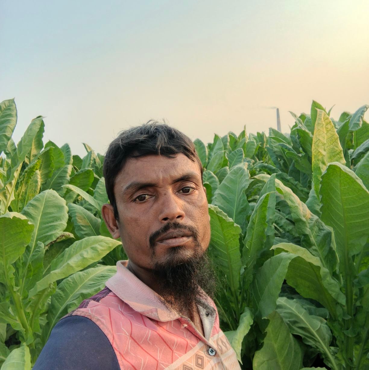 Roton Ali
