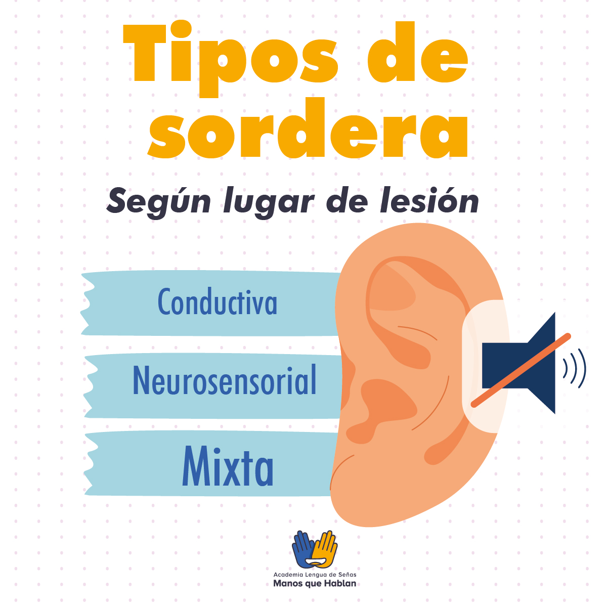 Academia - APRENDAMOS LOS TIPOS DE SORDERA 💡 Según la localización de ...
