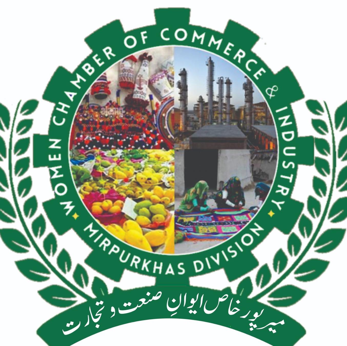 Sadaf Raza Warraich