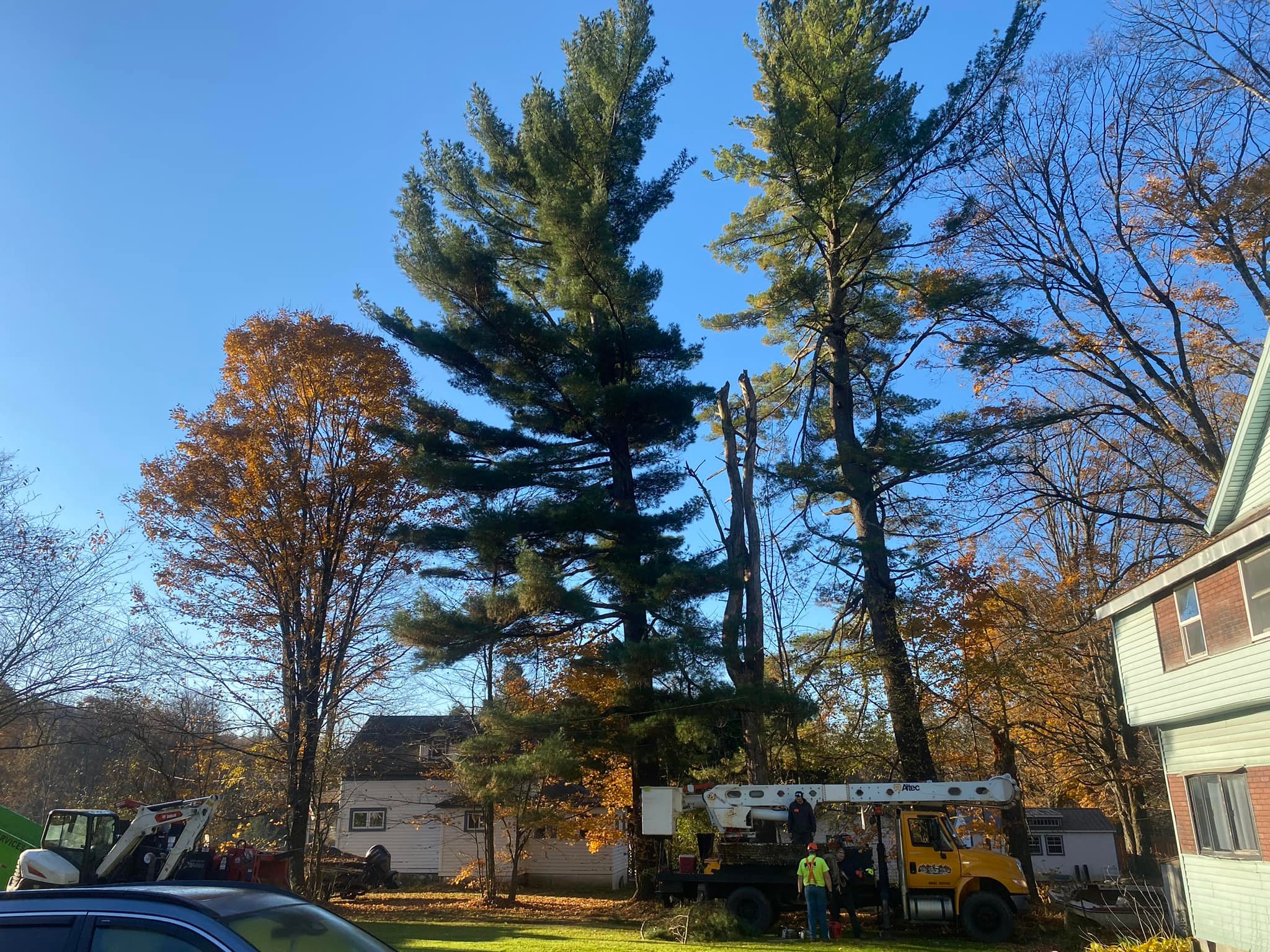 To The Top Tree Care LLC | Remsen NY