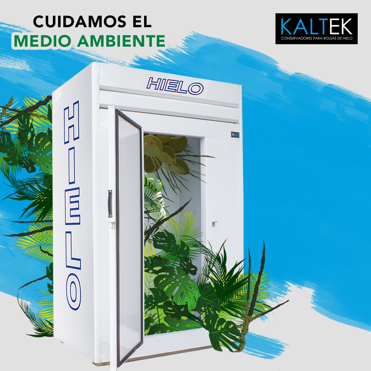 Kaltek - Somos congruentes con nuestra misión de cuidar el...