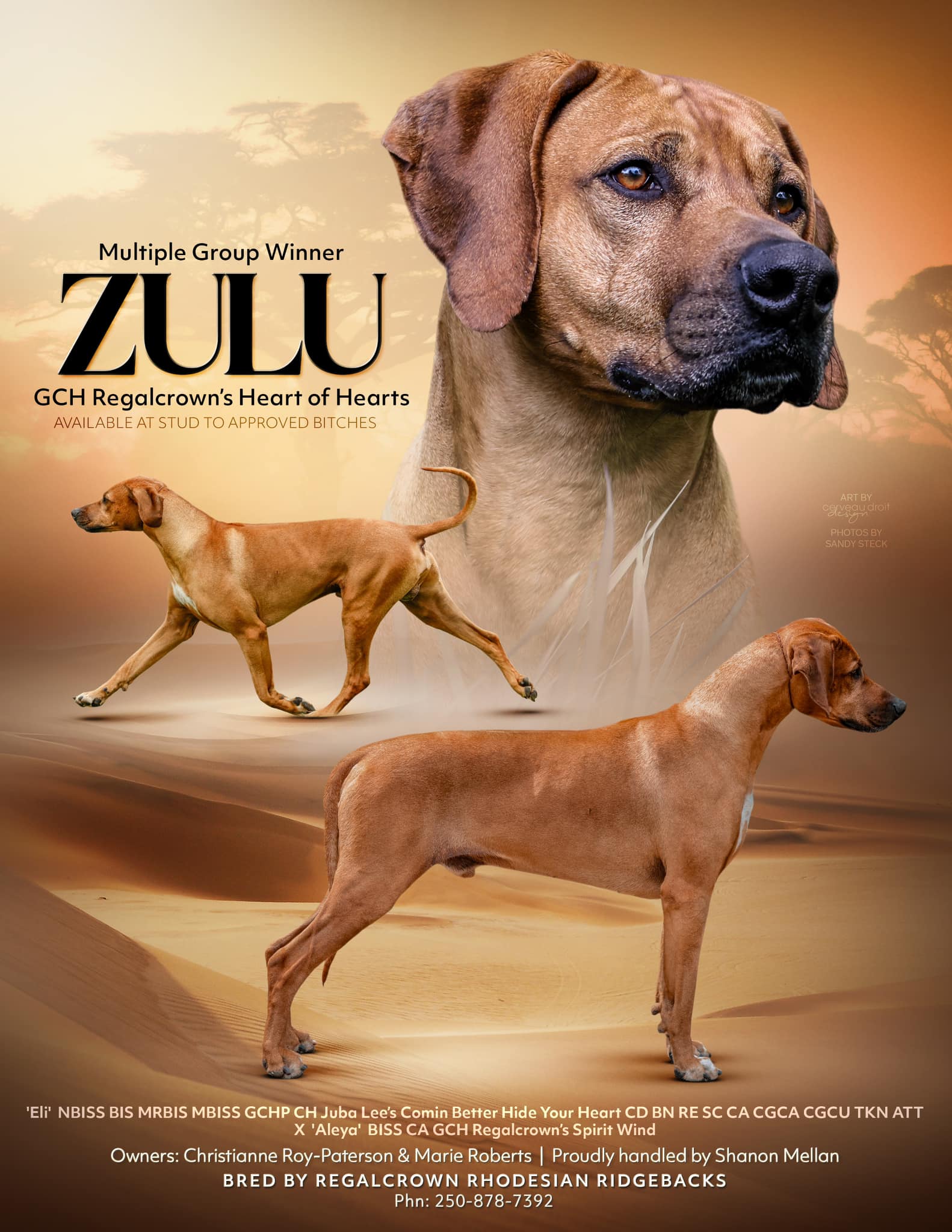 Regalcrown Rhodesian Ridgebacks