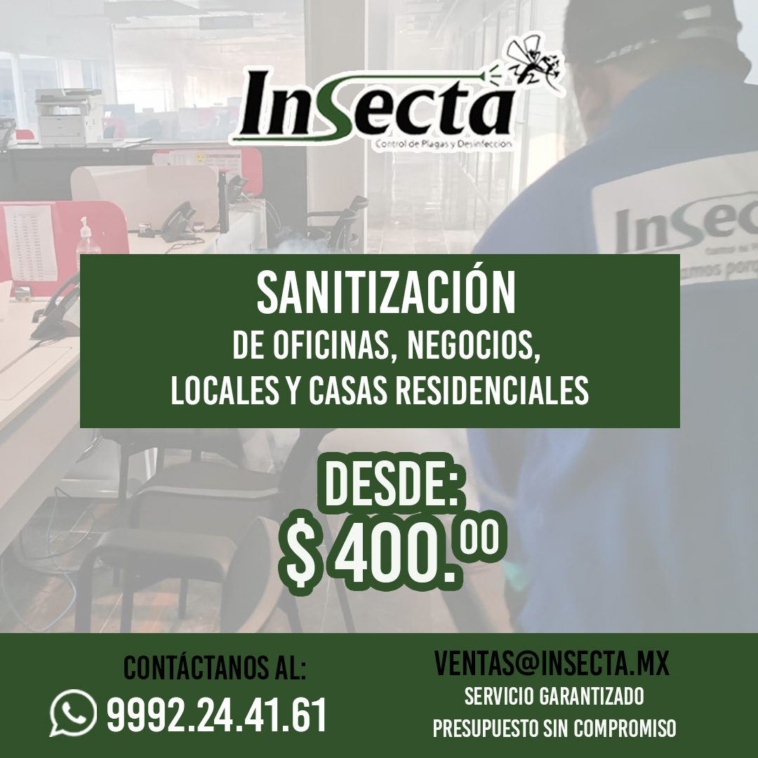 ¡Sabemos que es importante... - Insecta Control de Plagas | Facebook