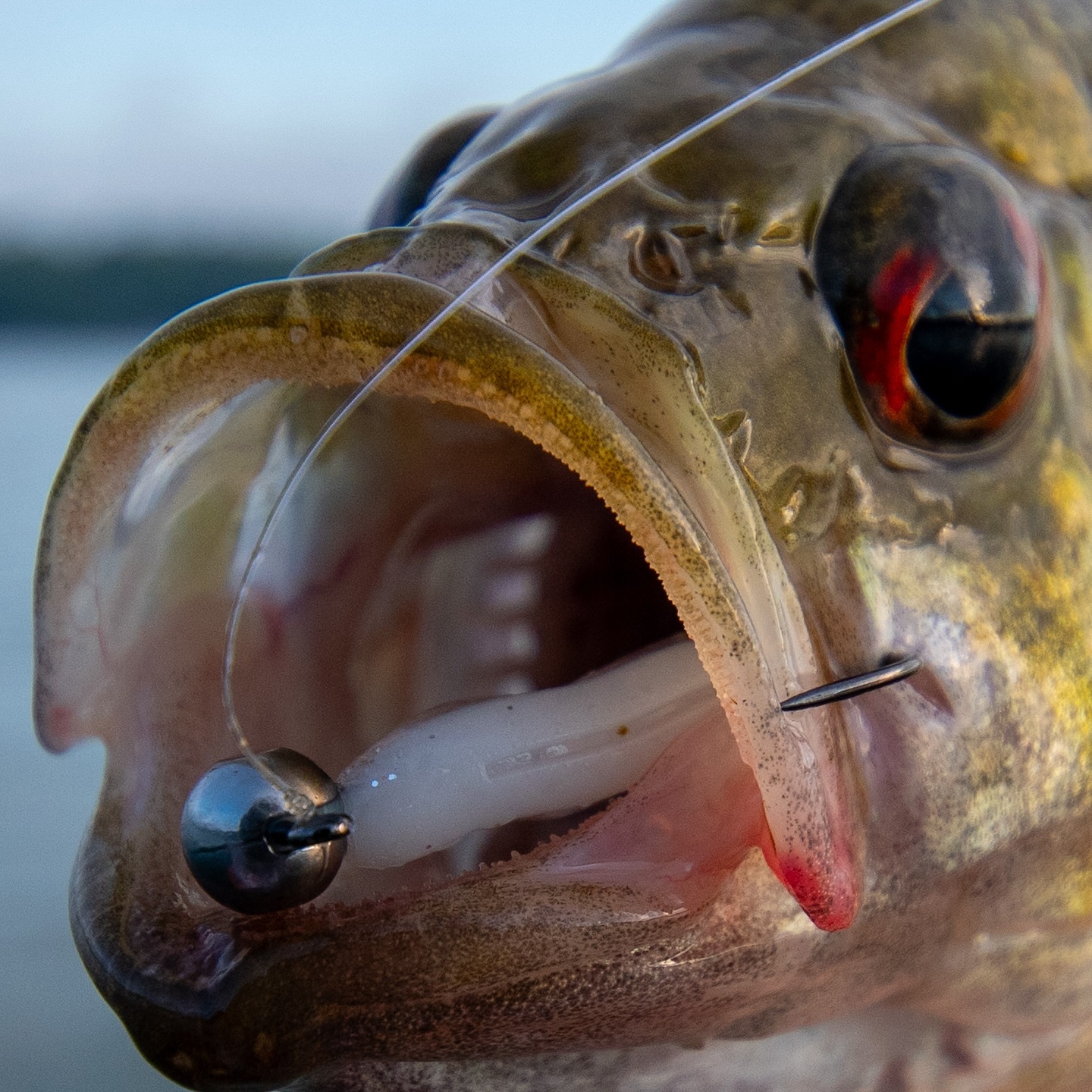 coke bottle cap fishing lures Cackalacky Booze Bait Lure Booze Bait + Dressed Chartreuse Feathers Trailing Hook bent bottle caps real warrior PVC Surf Rod Sand Style:30
