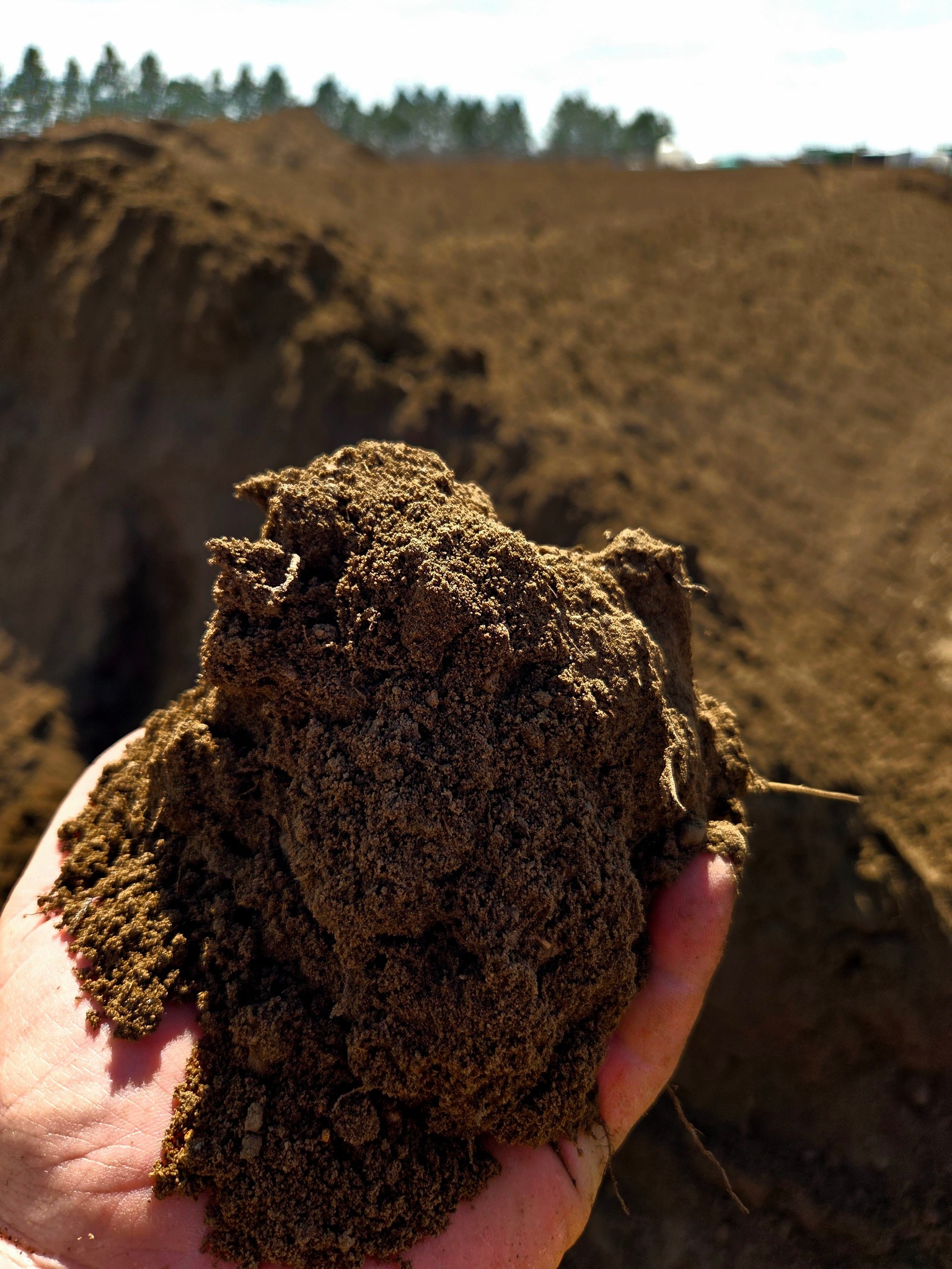 BS Compost LLC