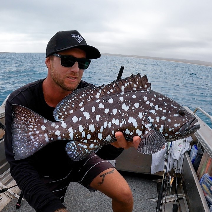 Field Days - Epic looking rankin cod. The Dalmatian of the...
