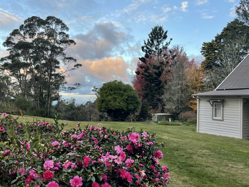 Our Tarella Open Day. - Blue Mountains Historical Society