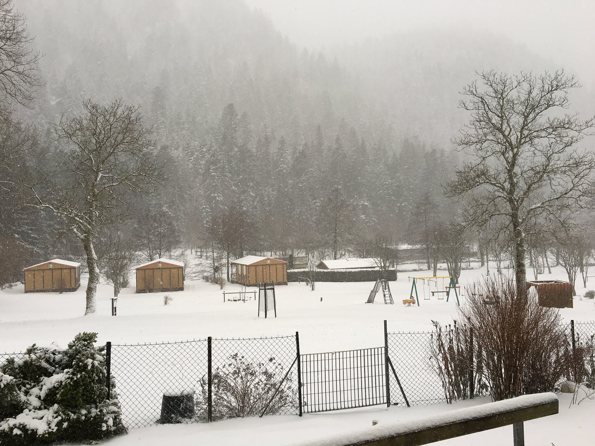 camper newsletter August Camping Classroom Newsletter