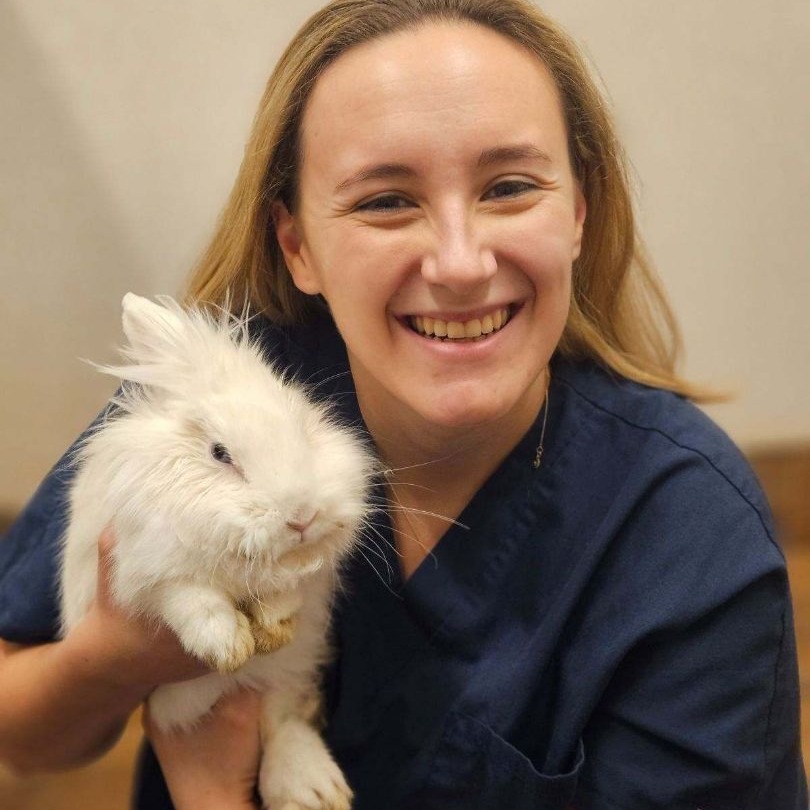 Preston, a brave little... - Long Island Rabbit Rescue Group