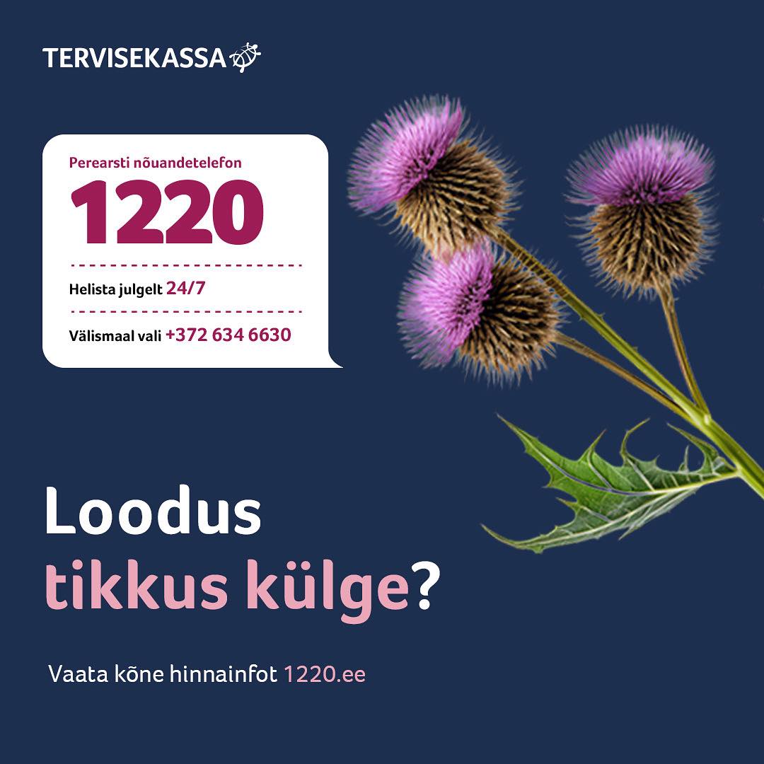 Tervisekassa - 💼 Suvi on reisimise aeg. Kas sina tead, mida peaks ...
