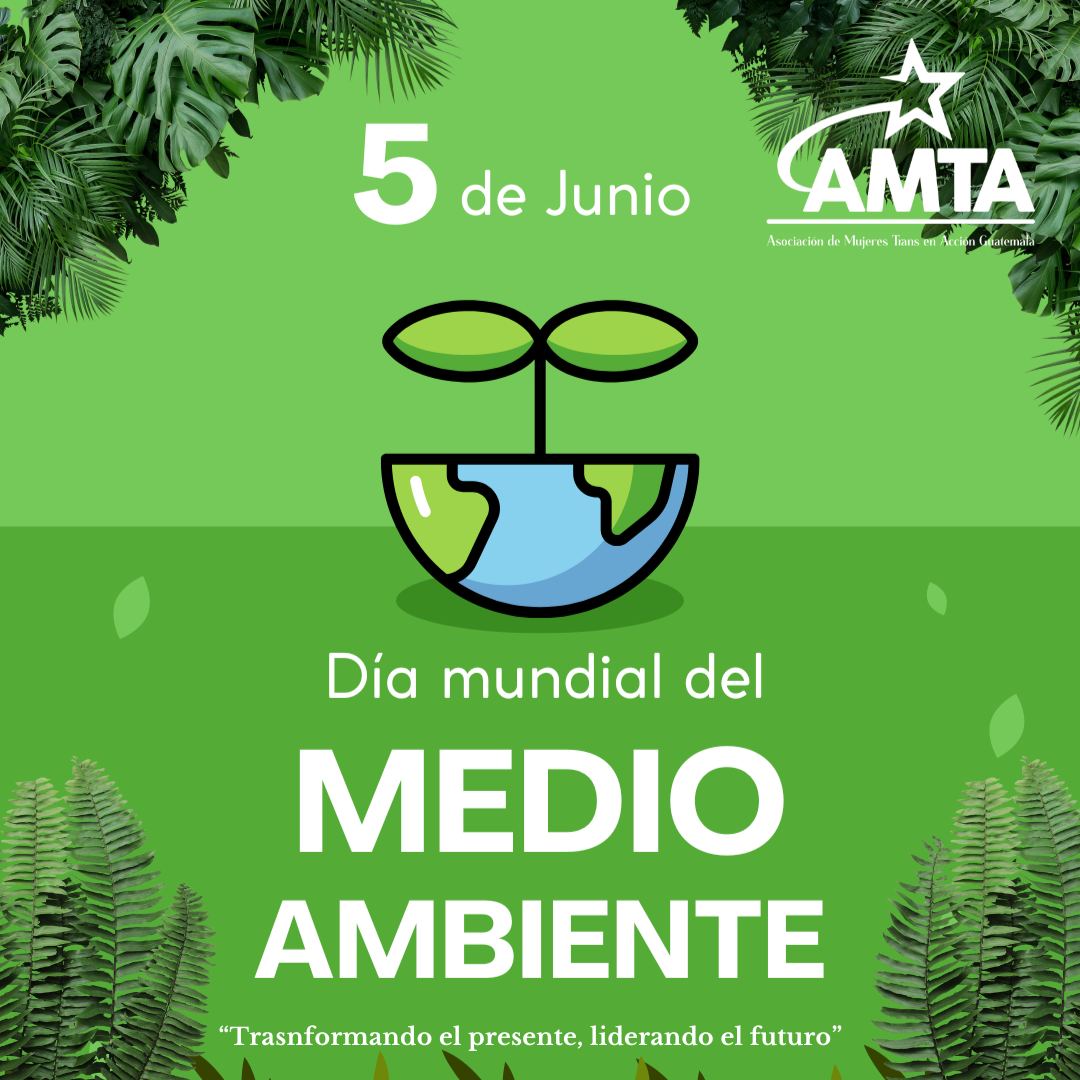 AMTA - 🌍 Hoy celebramos el Día Mundial del Medio Ambiente 🌍 Cada 5 de ...
