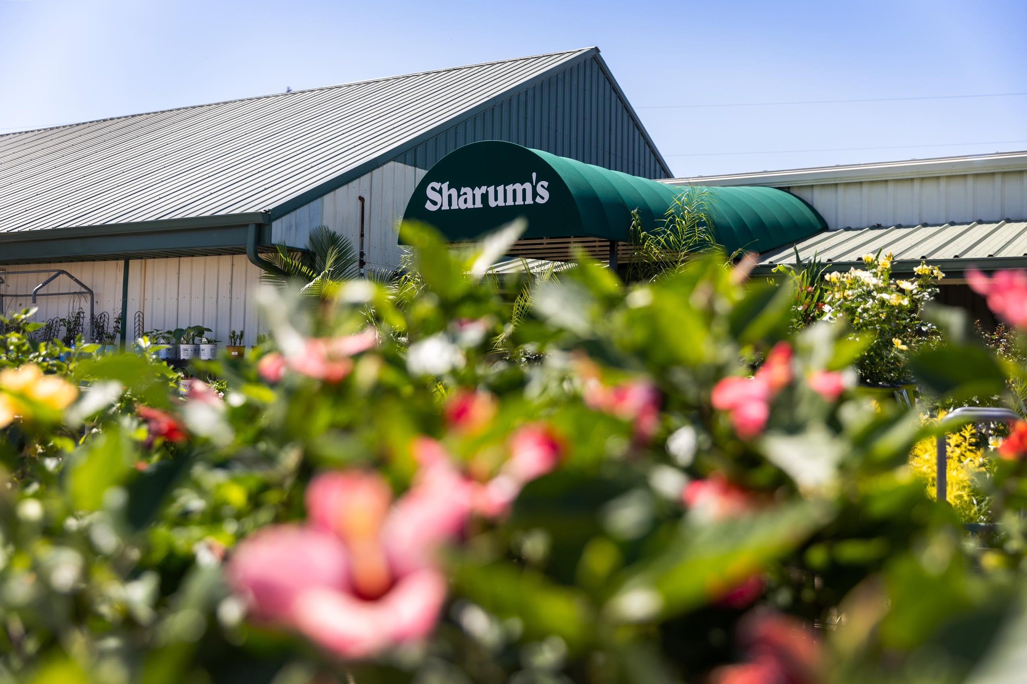 Parks Brothers Garden... - Parks Brothers Garden Center
