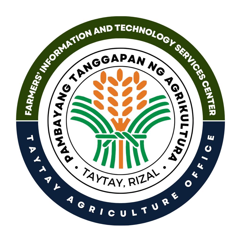 Taytay Agriculture Office - Free Dogs and Cats Rabies Vaccination Ang ...